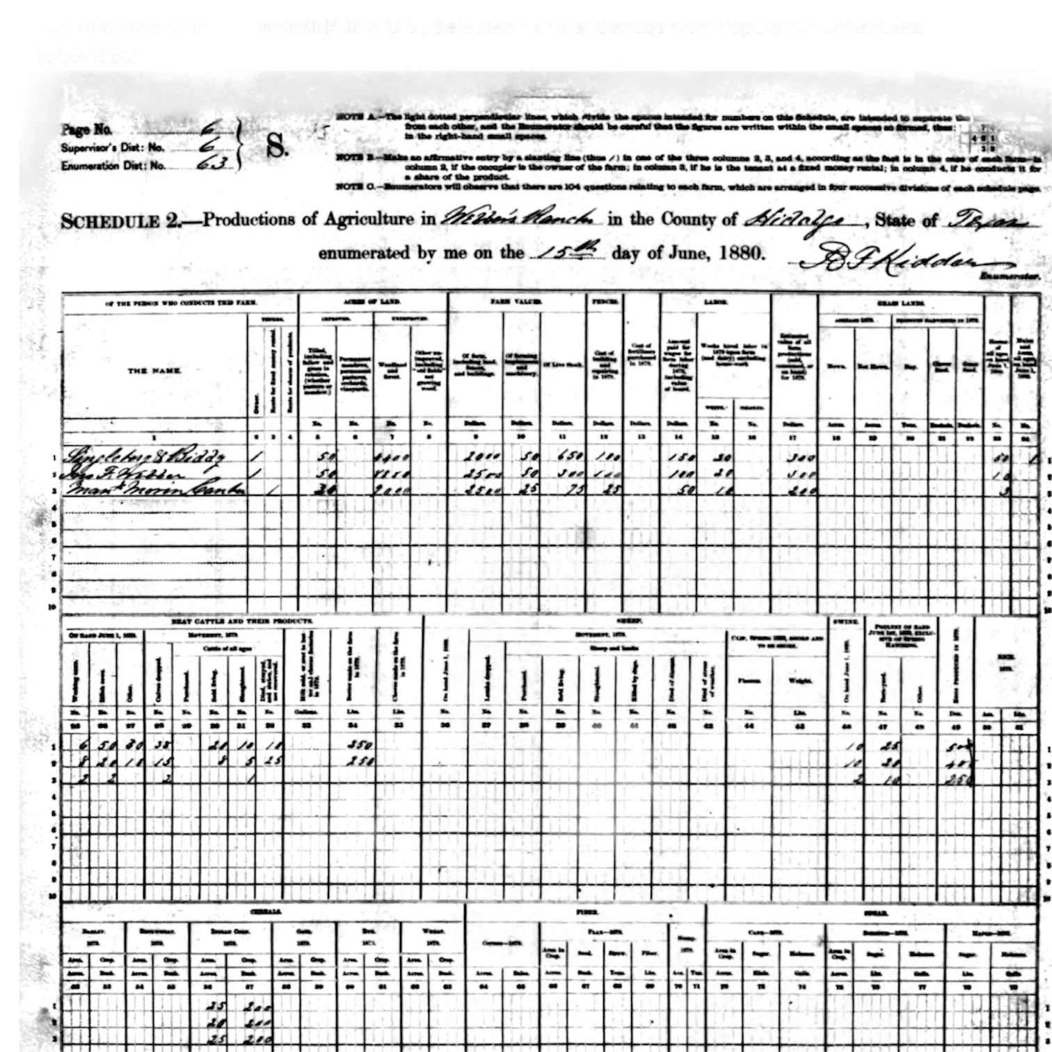 1880 Census Secheduke2.JPG