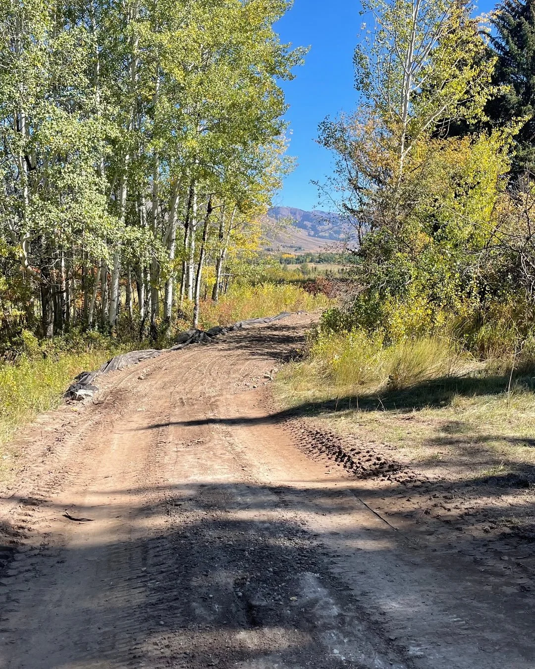 Fall site visits in the Tetons 🍂
#agrostisinc #landscapearchitecture #jacksonhole #wyoming #garden #landscape #landscapedesign #gardendesign #gardensofinstagram #fall #fallcolors #tetons
