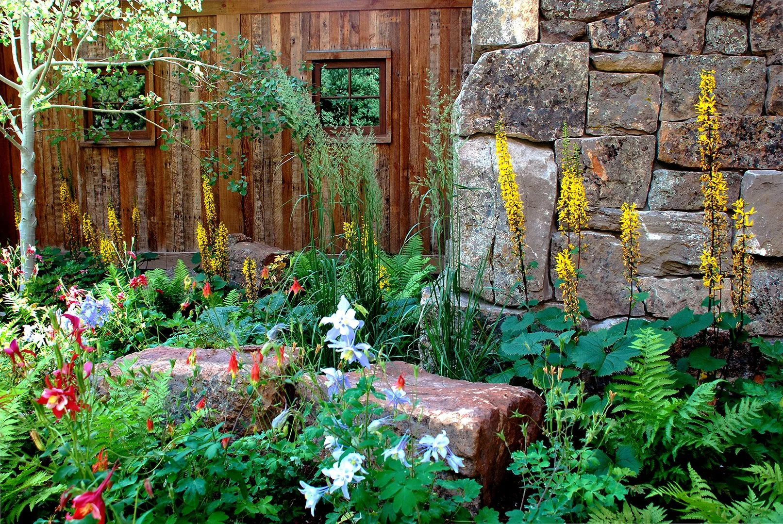 Phillips Ridge_5.jpg