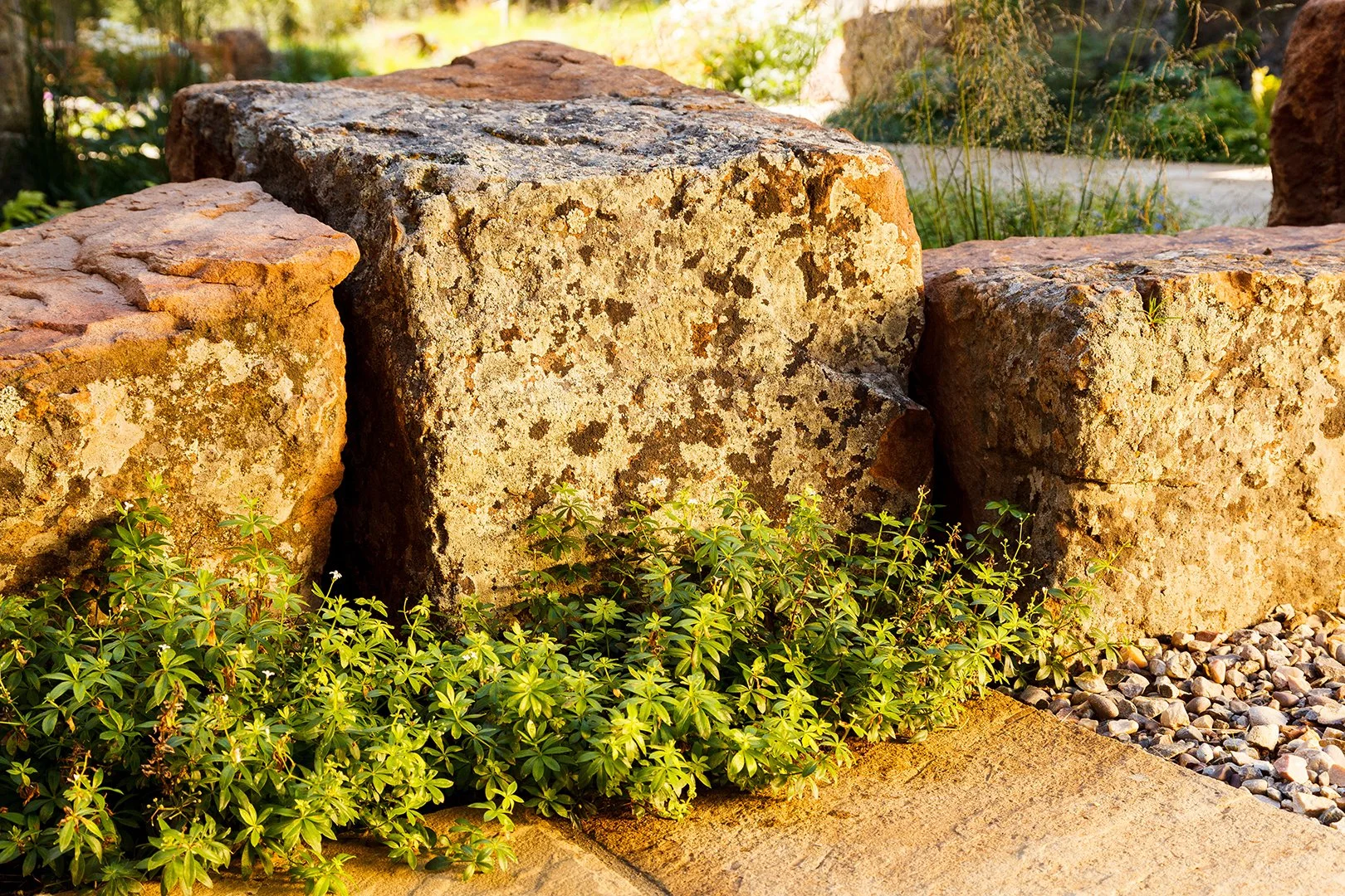 Phillips Ridge_6.jpg