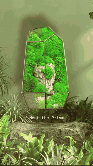 A vertical, house-shaped mirror with a mossy, forest scene inside it, mounted on a rock with green plants around.