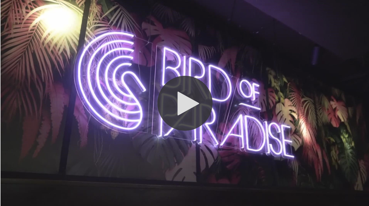 Video preview of WKYC news article covering the opening of Bright Side restaurant and Bird of Paradise nightclub in Ohio City