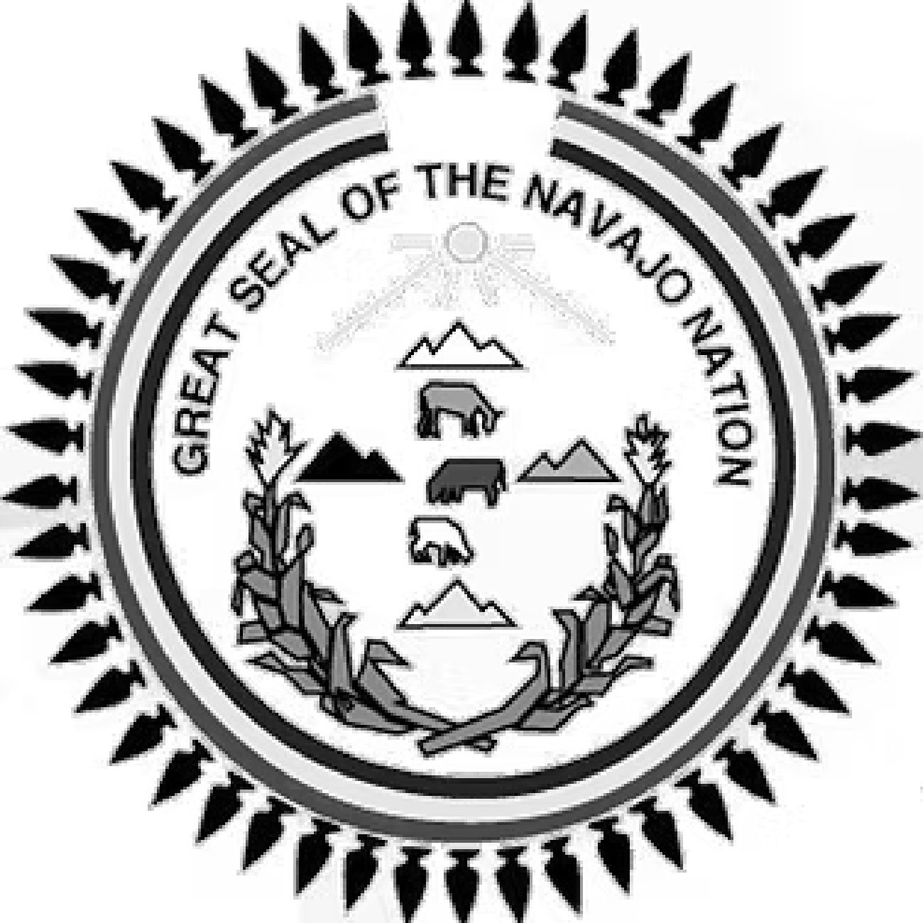 navajoSeal_SiteLogo_only_edited.png