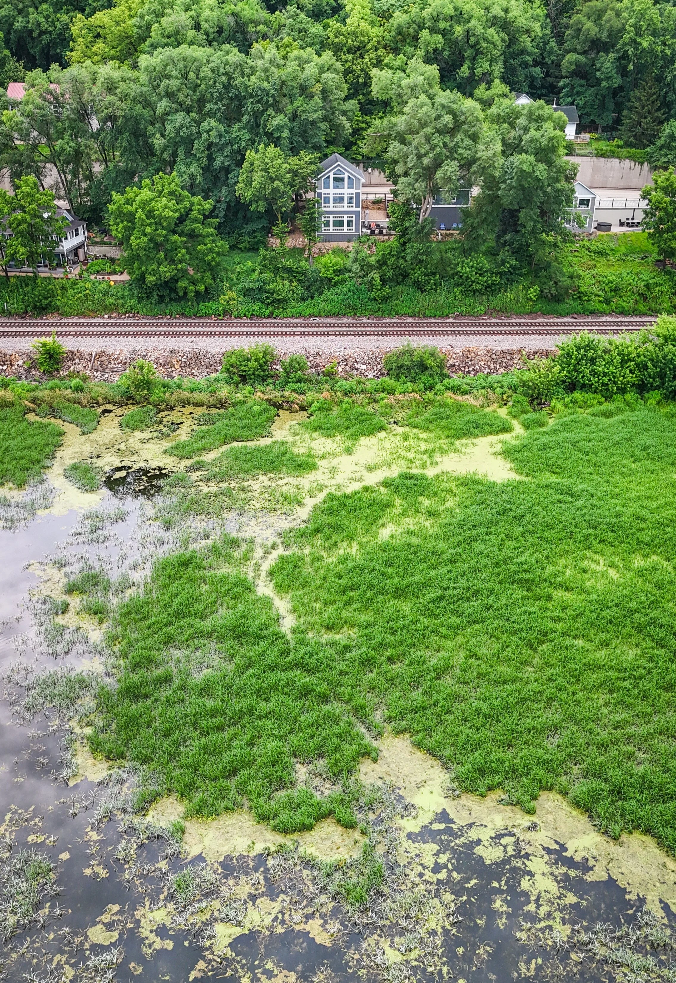 DJI_20250706091806_0128_D.jpg