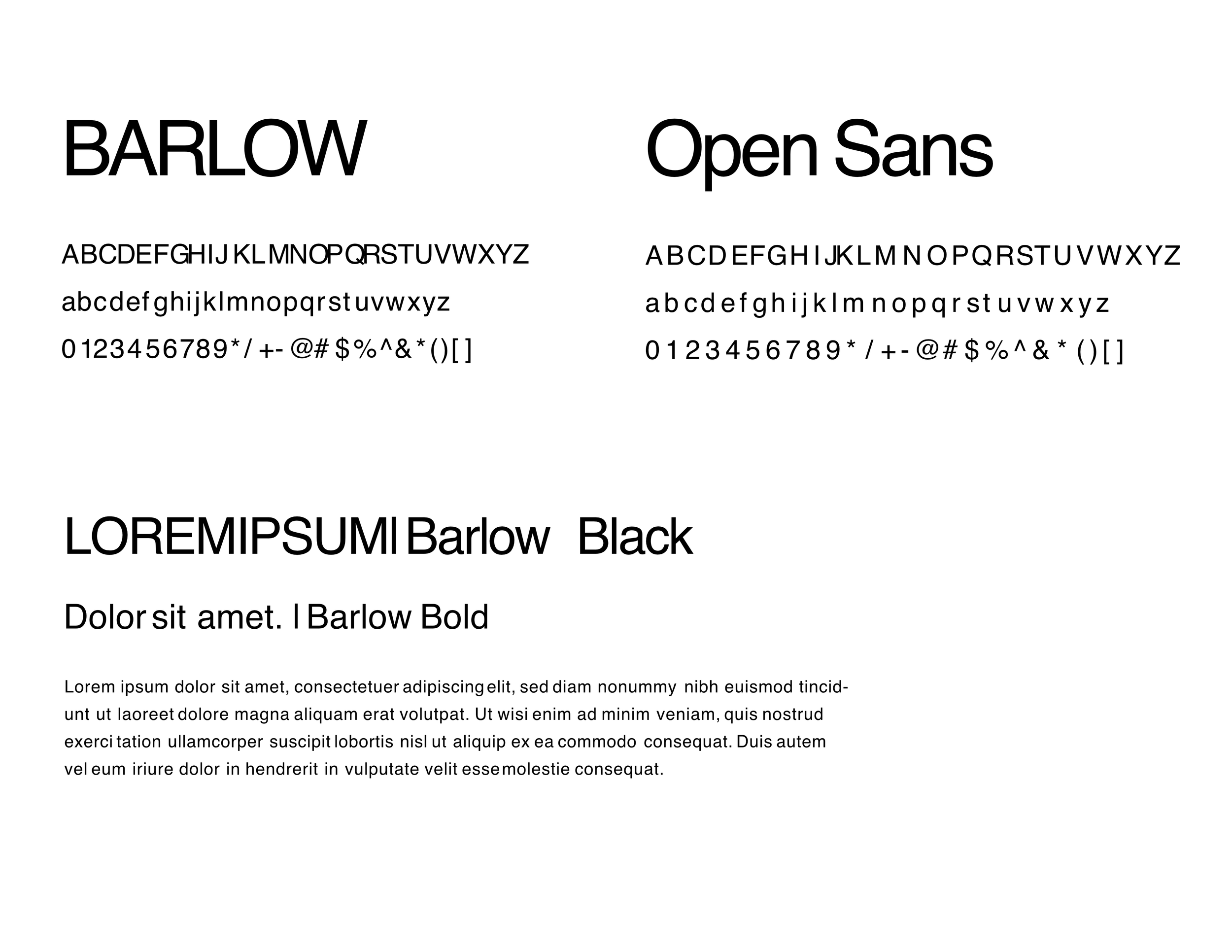 An image of LiveLike brand typefaces