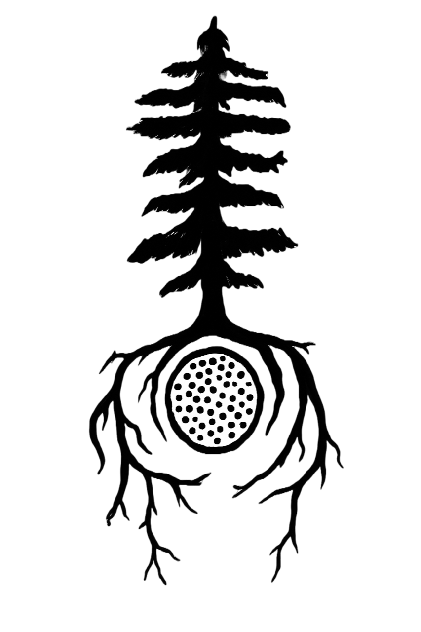 The Proserpine Pass ~ Gift Card