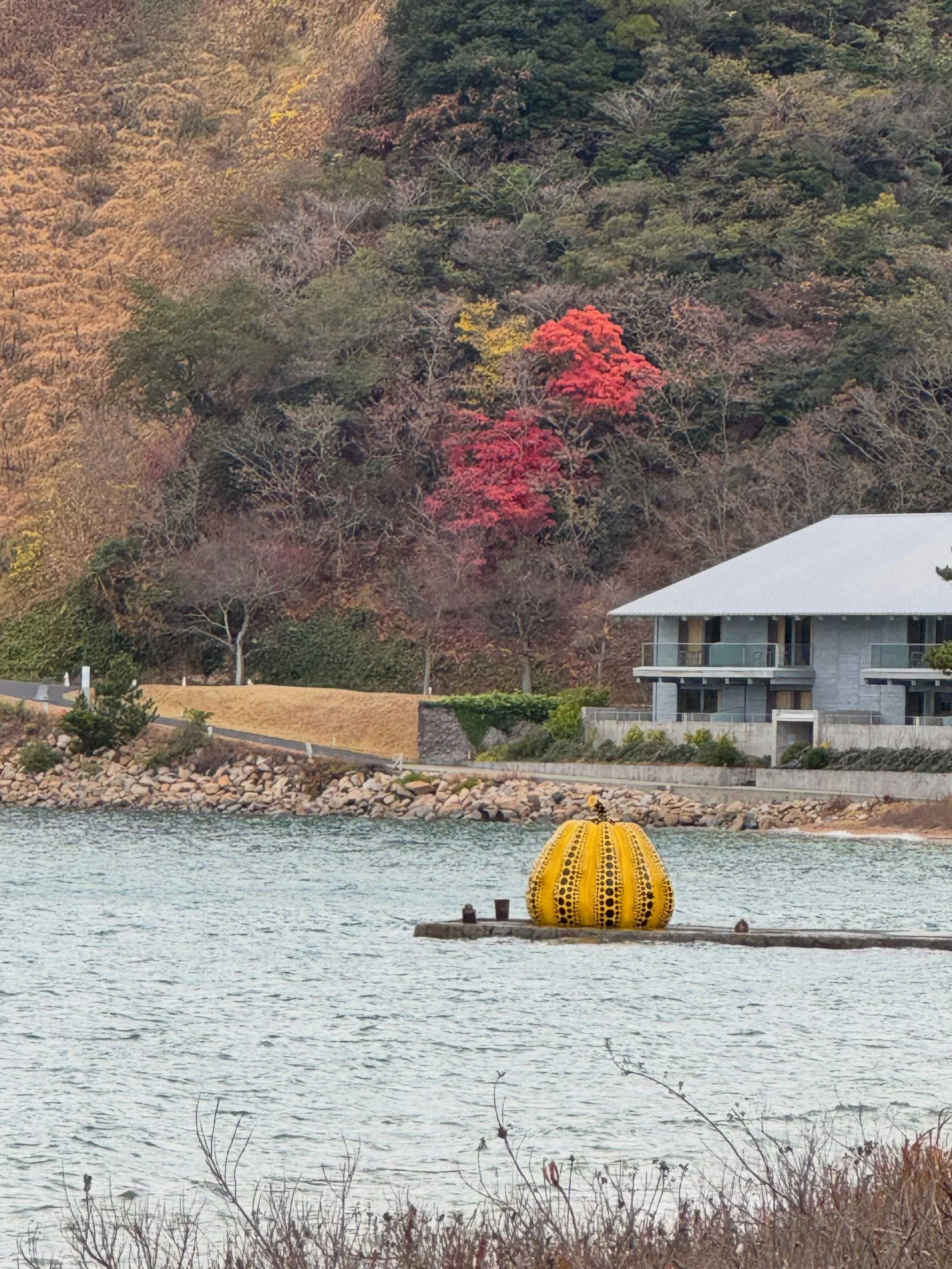 Remembering Yayoi Kusama.
Naoshima, winter 2025. ♾️ #yayoikusama