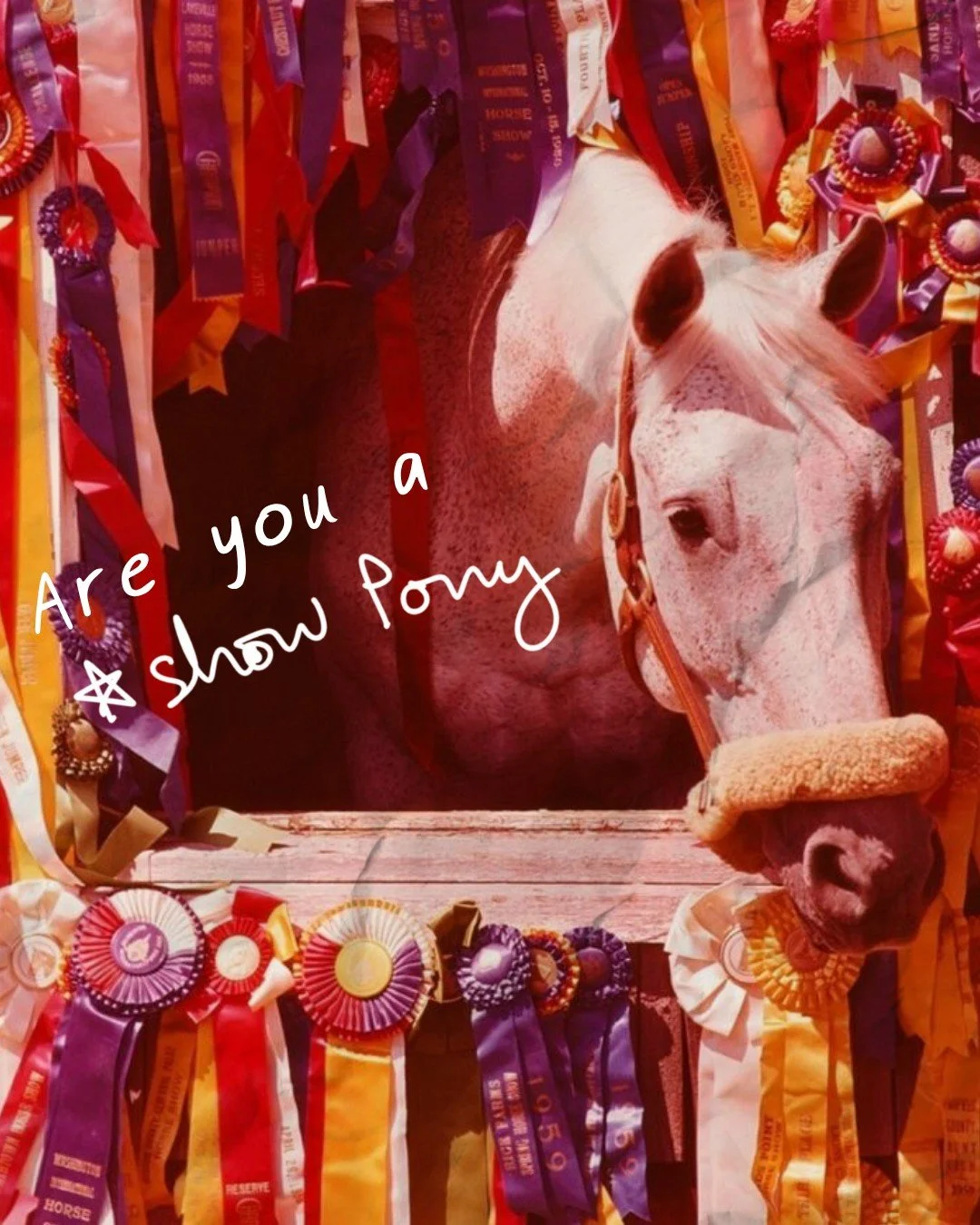 Are you&hellip; a show pony? 🐎

Be honest.
Are you the one making the entrance, telling the story, accidentally becoming the main event?

There&rsquo;s only one way to find out.

Head to our Locals Only Blog and take the quiz
your official title is 