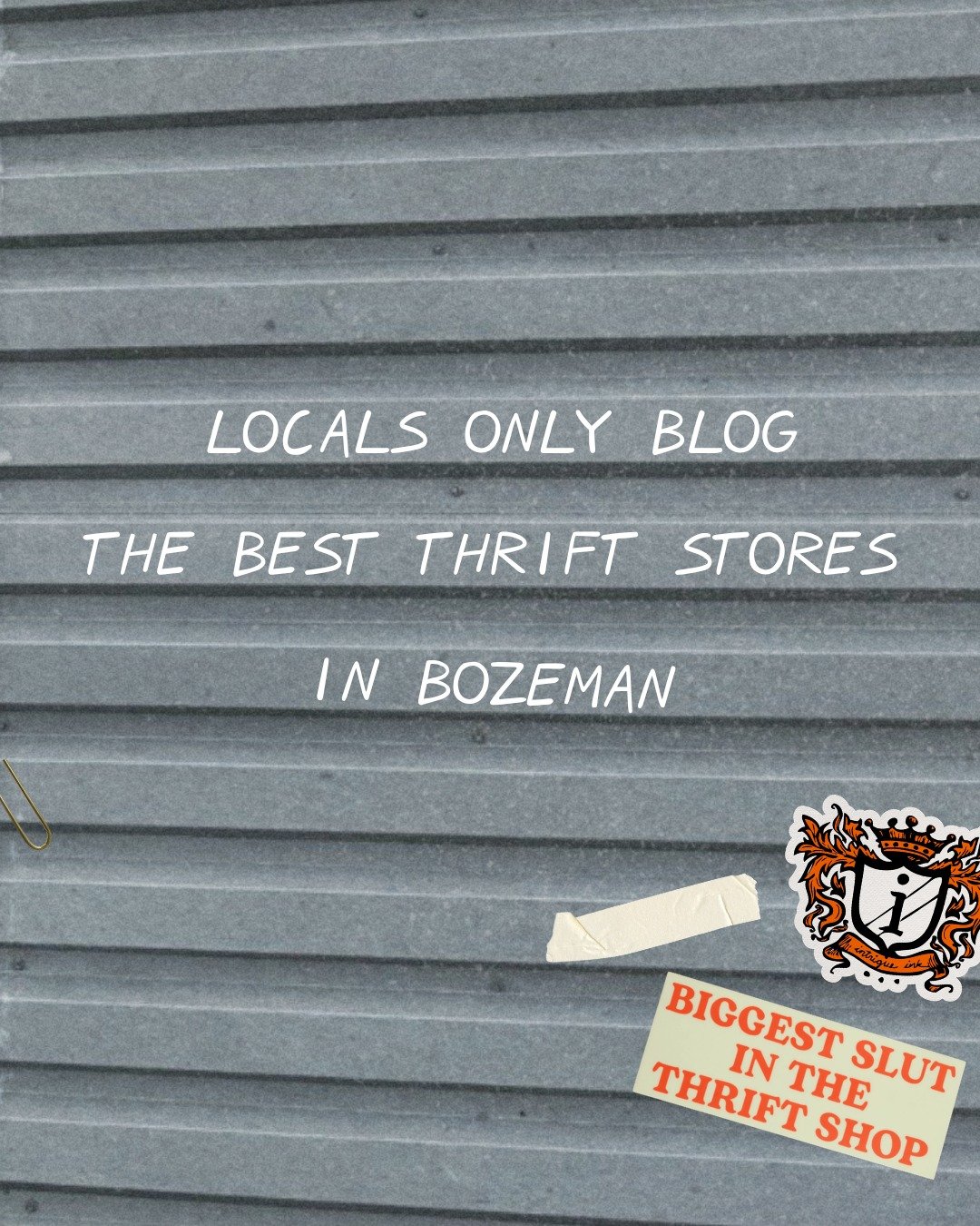 Thrifted, tested, and slightly unhinged (in the best way).

We sent our thriftiest babes out to find the best thrift stores in Bozeman&hellip; and let&rsquo;s just say the treasures did not disappoint.

From hidden gems to racks that actually deliver