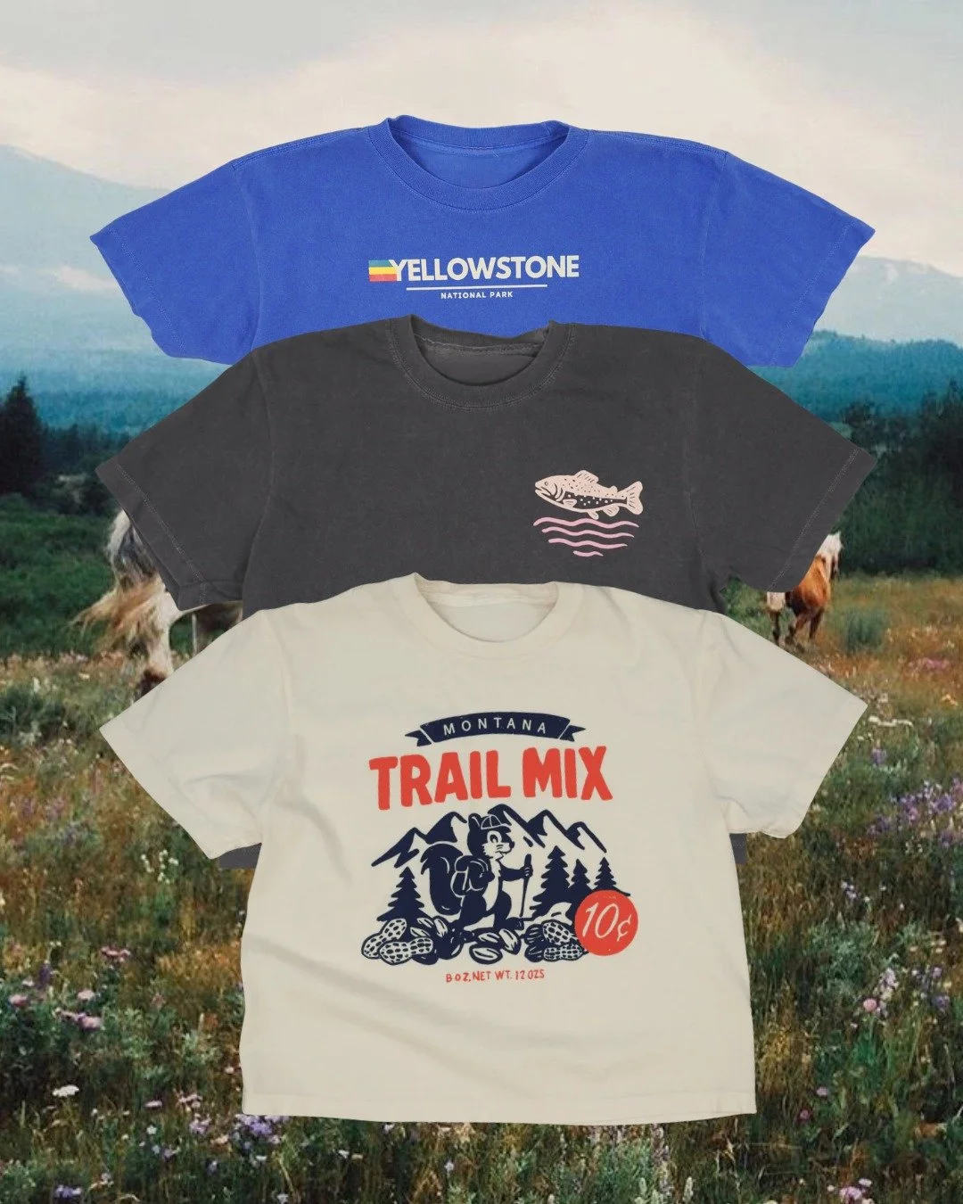 THE SUMMER COLLECTION OF 2026 IS HERE ☀️

Fresh designs for lake days, road trips, farmers markets, patio beers, and every Montana adventure in between.

New tees. New tanks. New sweatshirts. New favorites.

Shop the collection in-store and online no