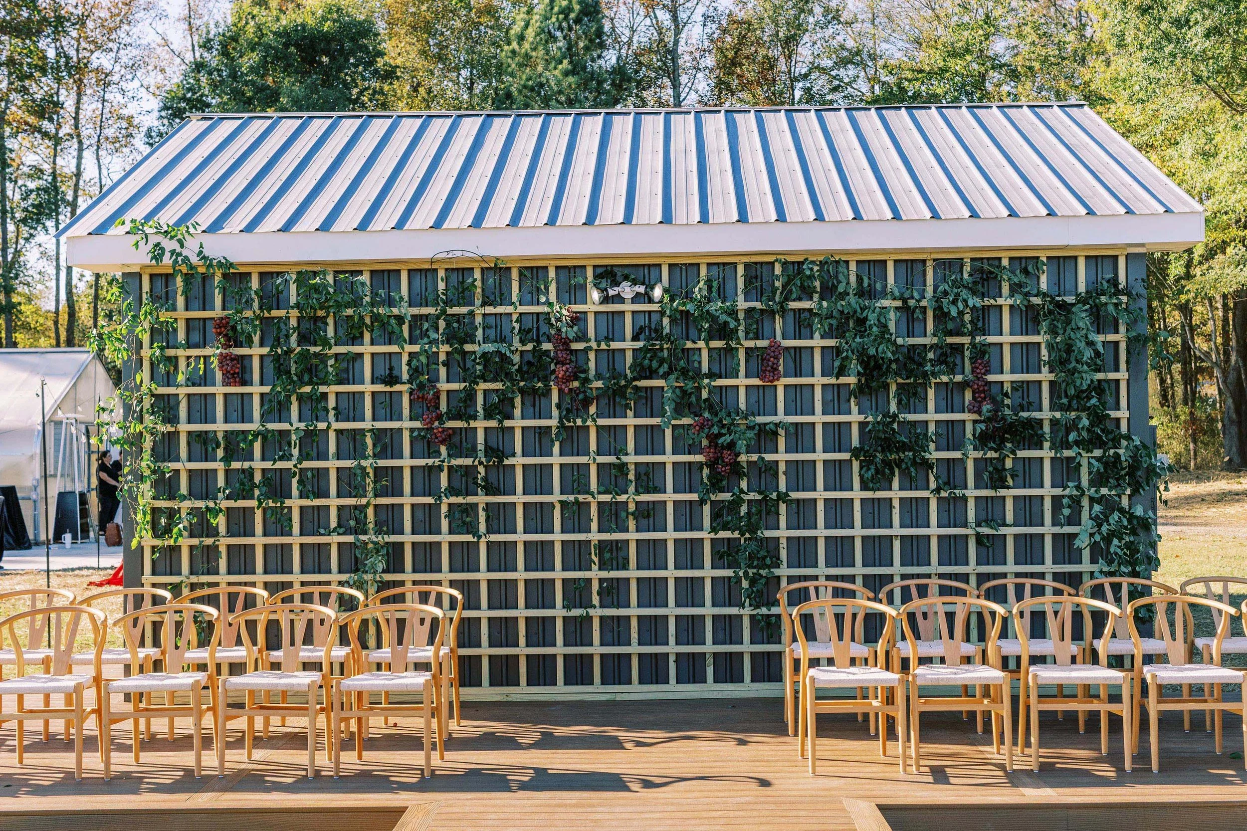 wishbone chairs set up for a wedding ceremony at a vineyard