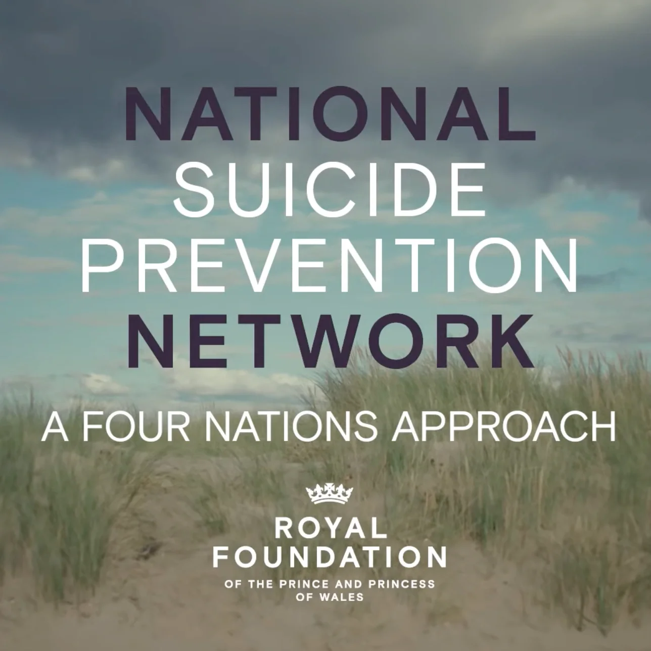 National Suicide Prevention Network (NSPN)