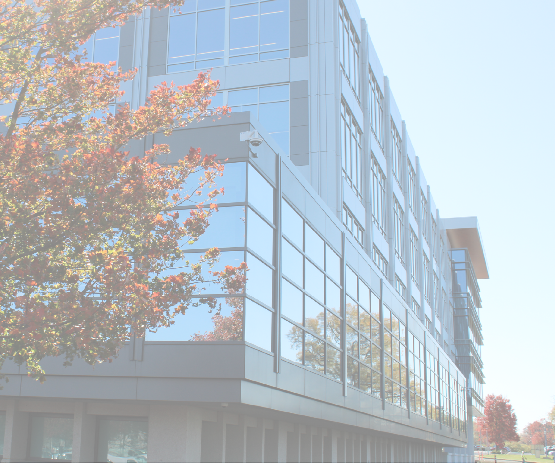 Profesional Experience