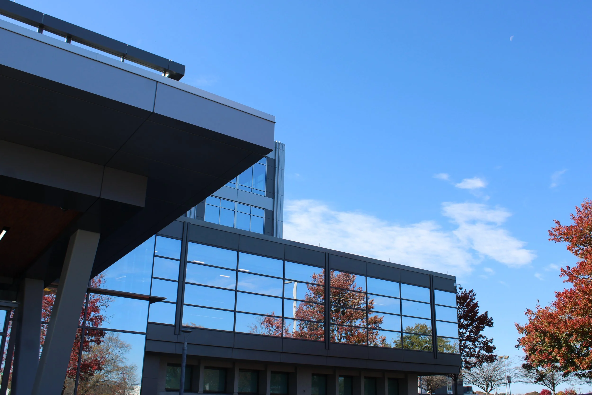 Profesional Experience