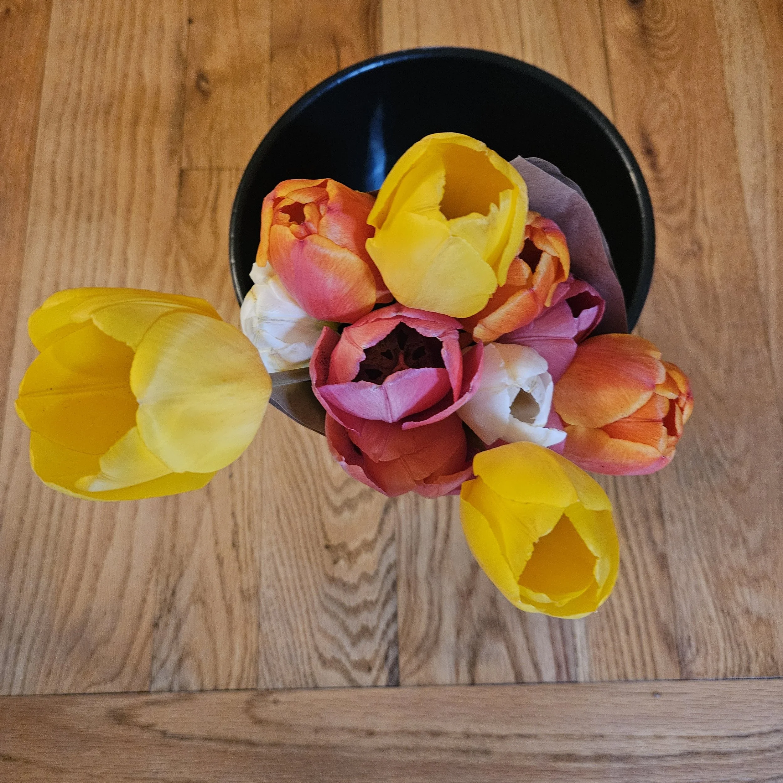 tulip bouquet.1.jpg