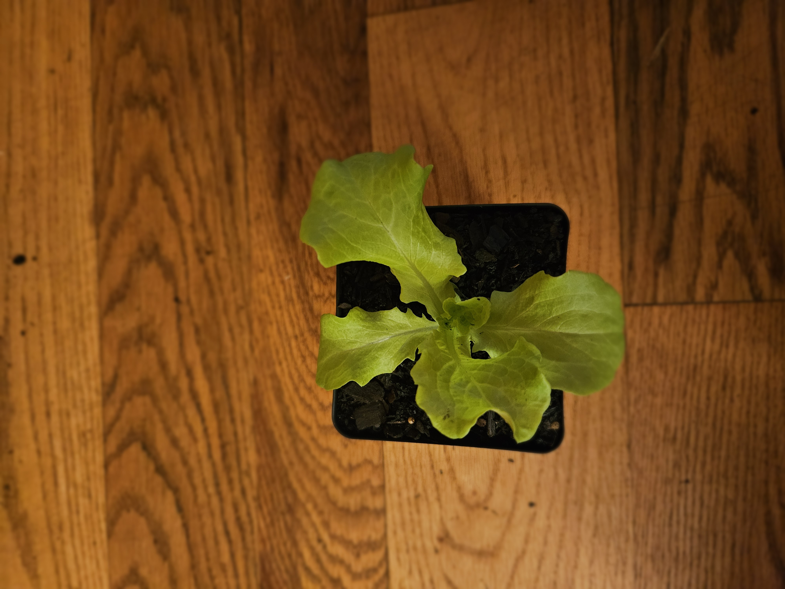 20260301_165028.png