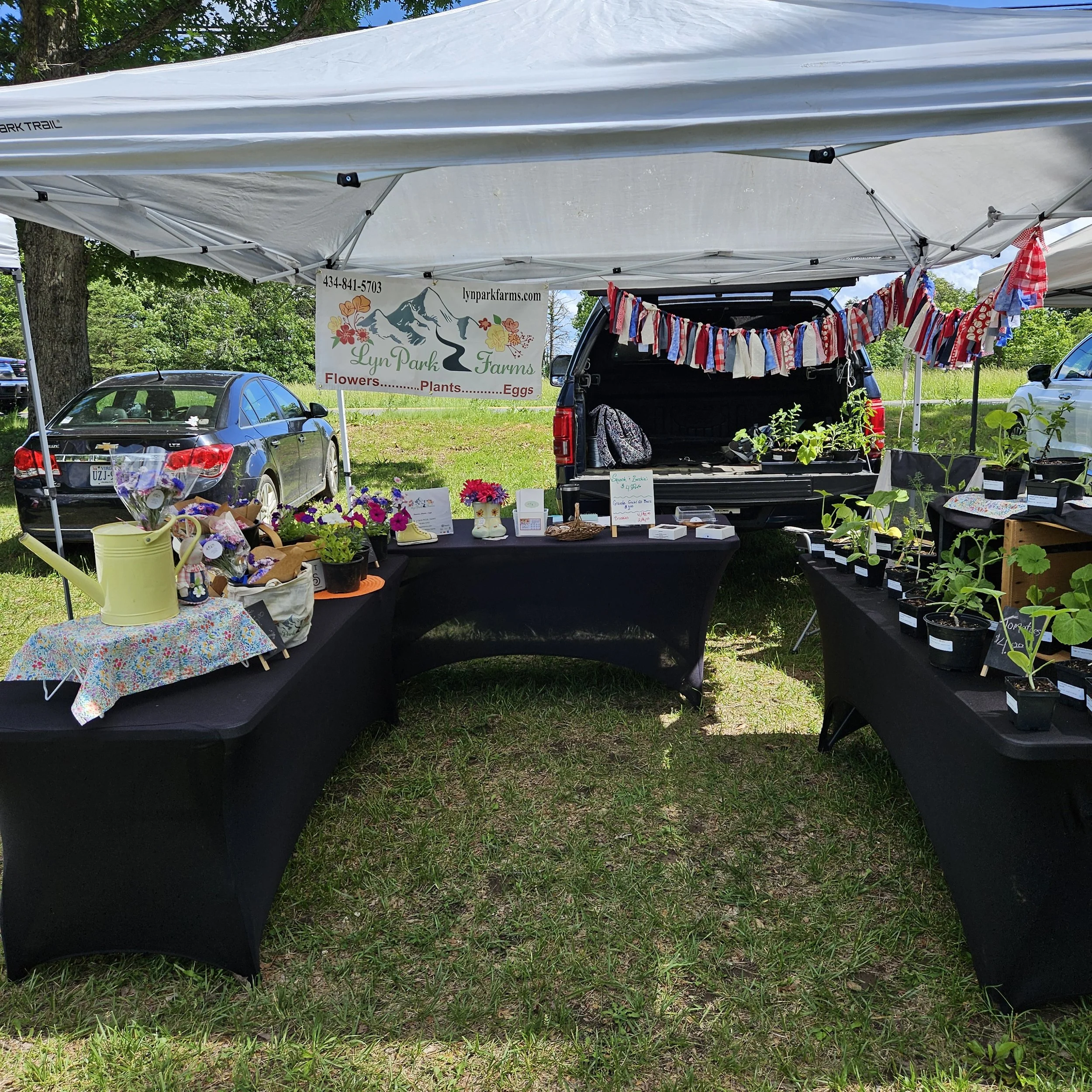 LPF Rustburg Ruritan Community Farmers Market.jpg