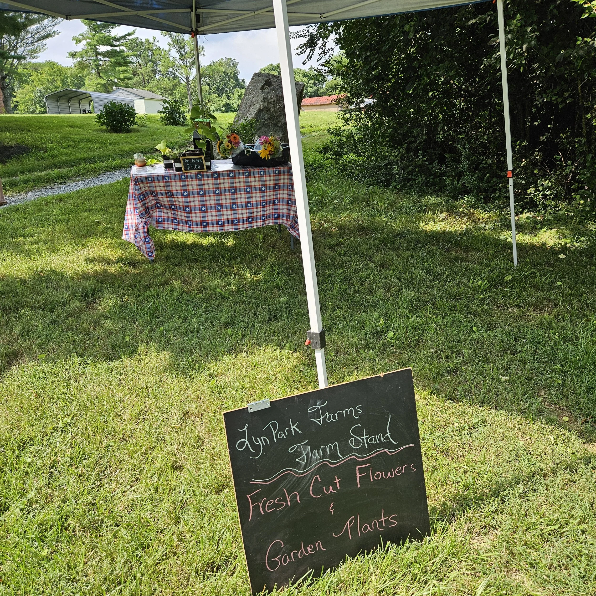 LPF roadside farm stand.jpg