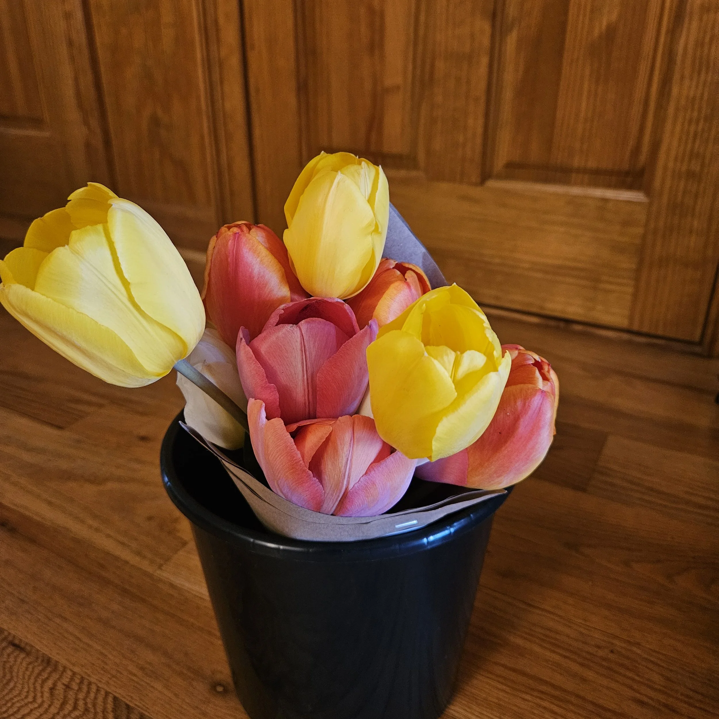 Tulip Bouquets