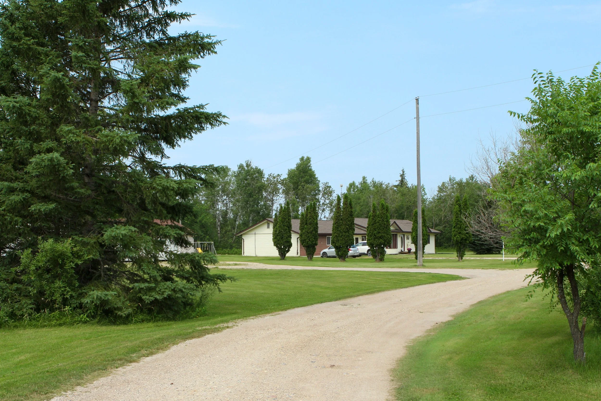 whitespruce_edits-68.jpg