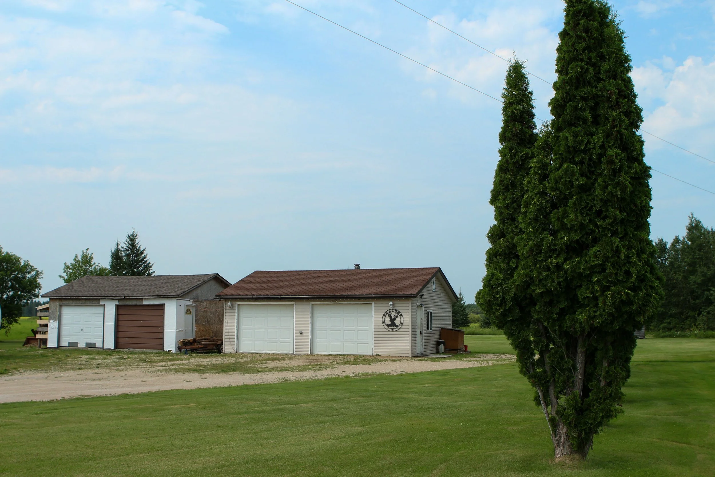 whitespruce_edits-10.jpg