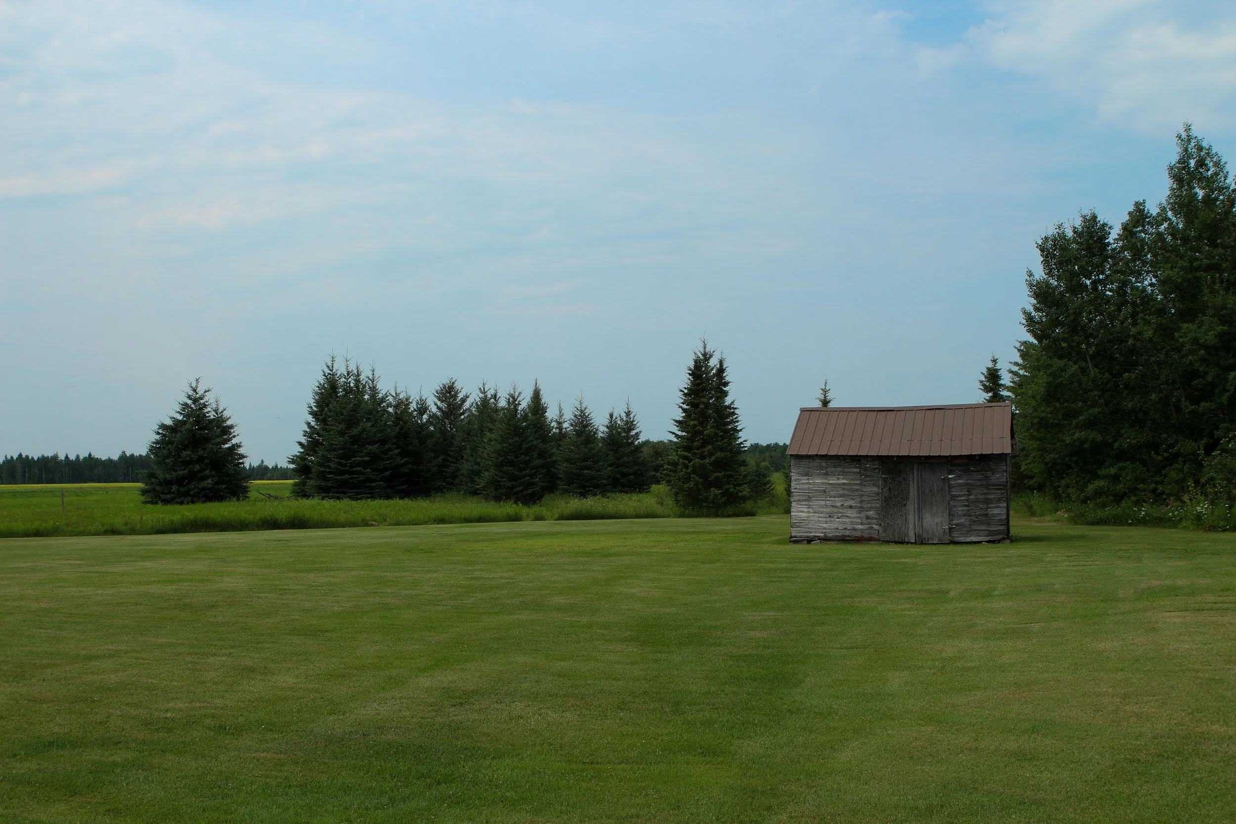 whitespruce_edits-18.jpg