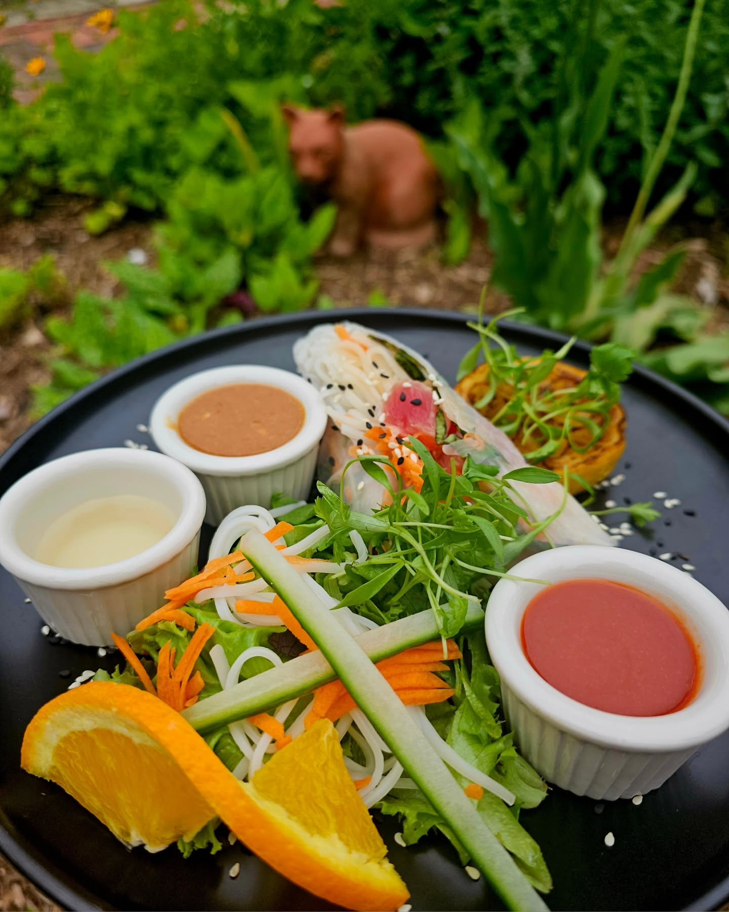 👨&zwj;🍳 Pacific Rim Night🌙 

🌳 Fresh tight crisp Tuna Spring Roll🌳 

✔️ 👨&zwj;🍳