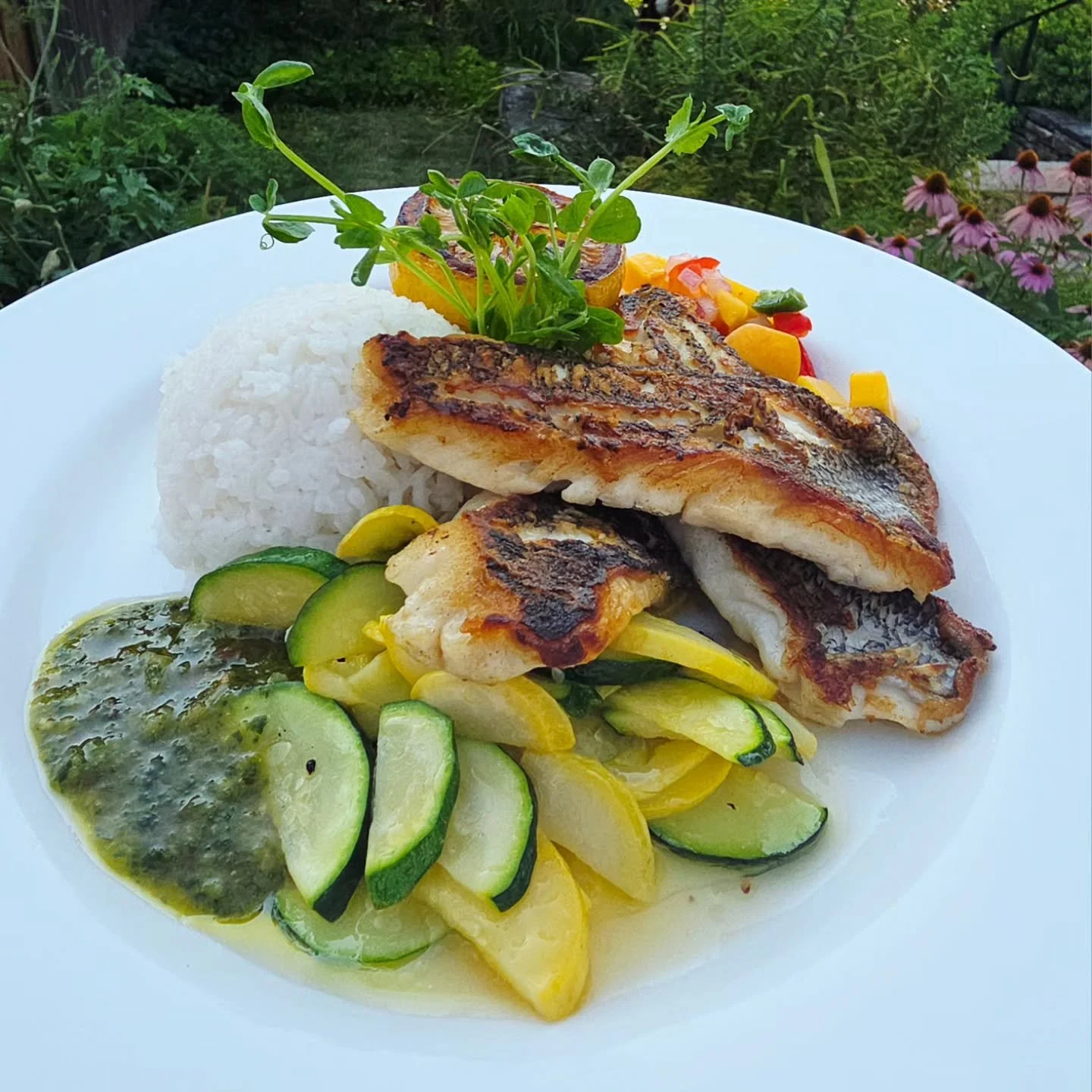 Pan Seared Sea Bass, mango peach salsa, Chimichurri, Jasmine rice &amp; zucchini, summer squash, pea shoots &amp; griddled lemon sun