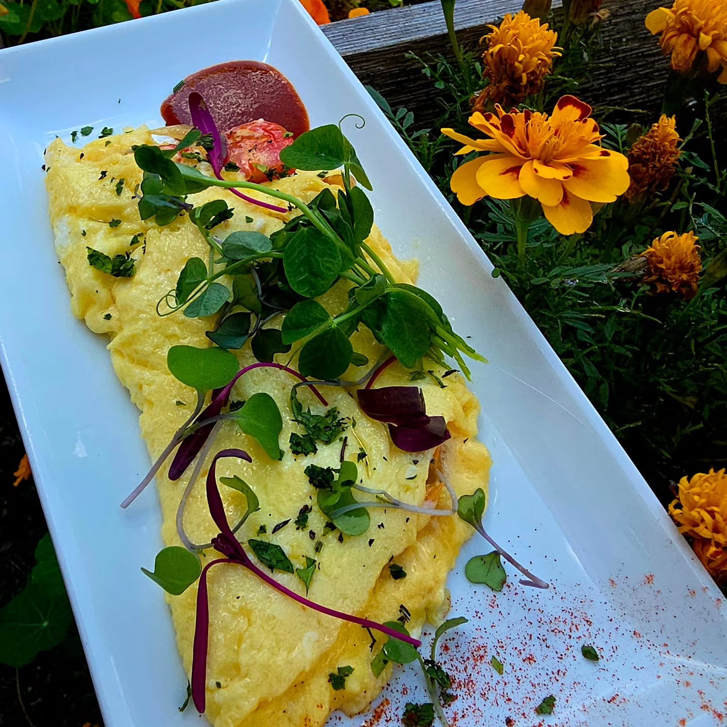 Mother nature is still star of the show. Back to the basics. 

Omelet, @peteandgerrys eggs, infused by @maplebrookfarm riccota cheese @mcdonaldfarmstand cherry tomatoes &amp; carmalized onions, fresh herbs, micro greens, pea shoots &amp; a punch of S