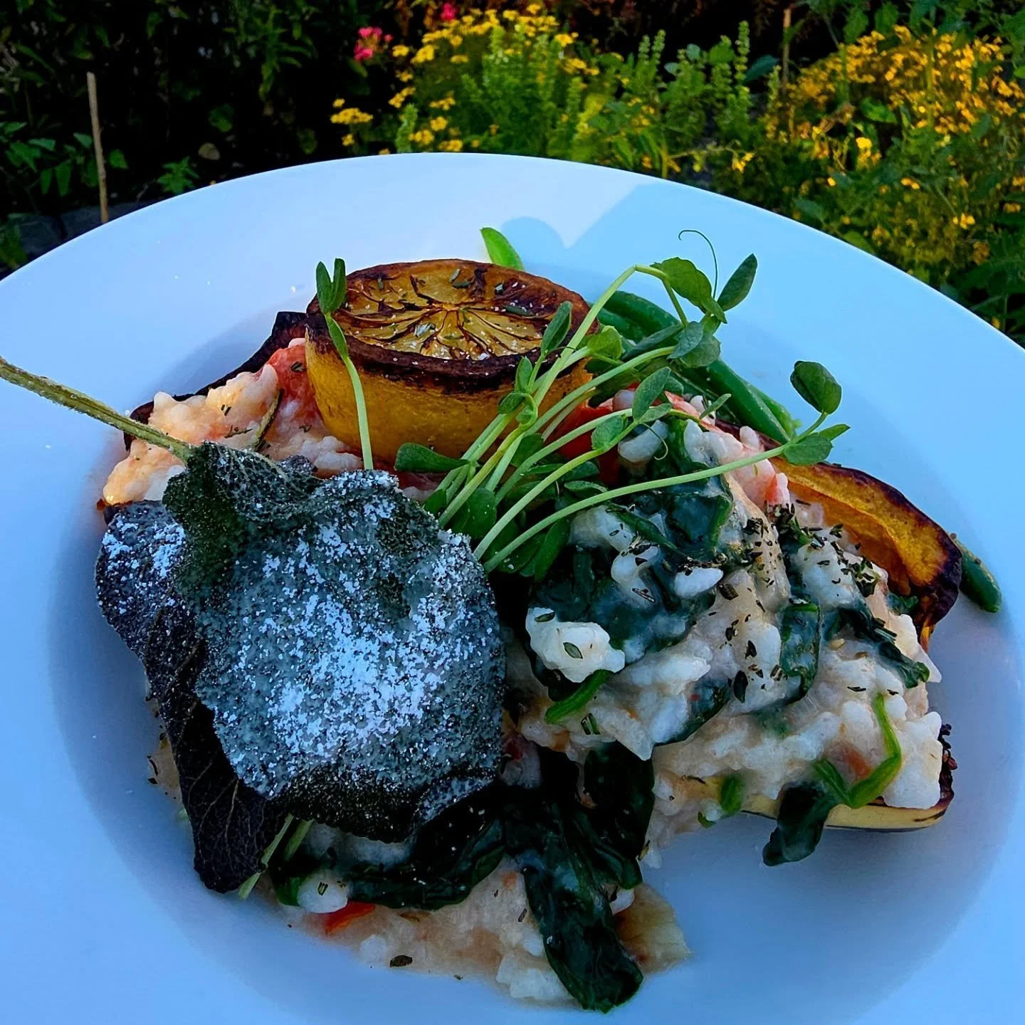 Big seller

Mostly Farmstand Risotto, creamy aborio rice, cherry tomatoes, spinach, garlic, shallots, McNamara heavy cream, vegetable stock, presented in a hollowed out delicata squash topped by candied sage, pea shoots &amp; griddled lemon.