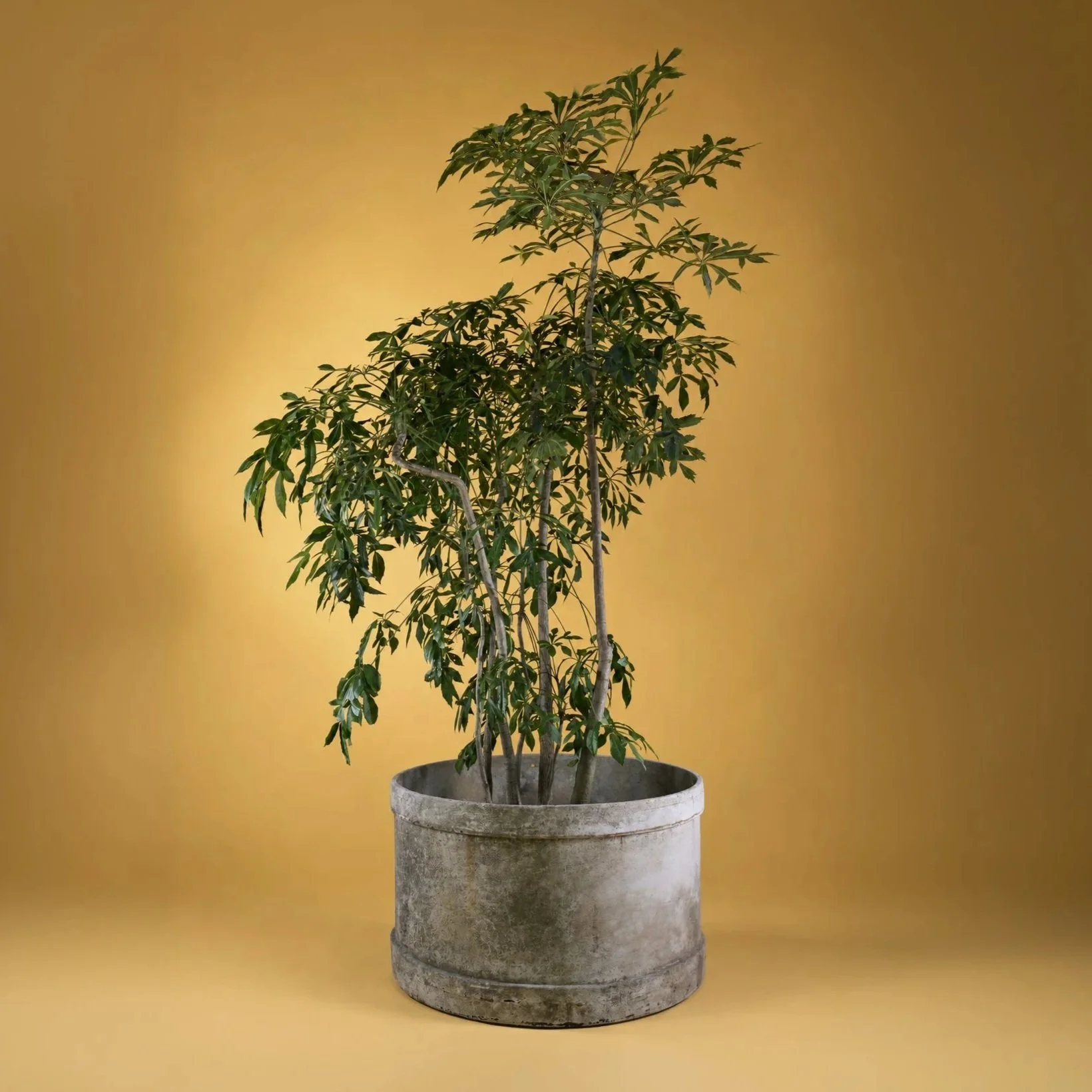ROUND CEMENT PLANTER WITH LIP