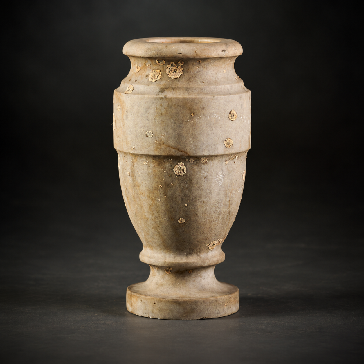 SKu: CNS-KK03   French Marble Urn with Beautiful Lichen Patina   C.1900 France 8''D x 18''H
