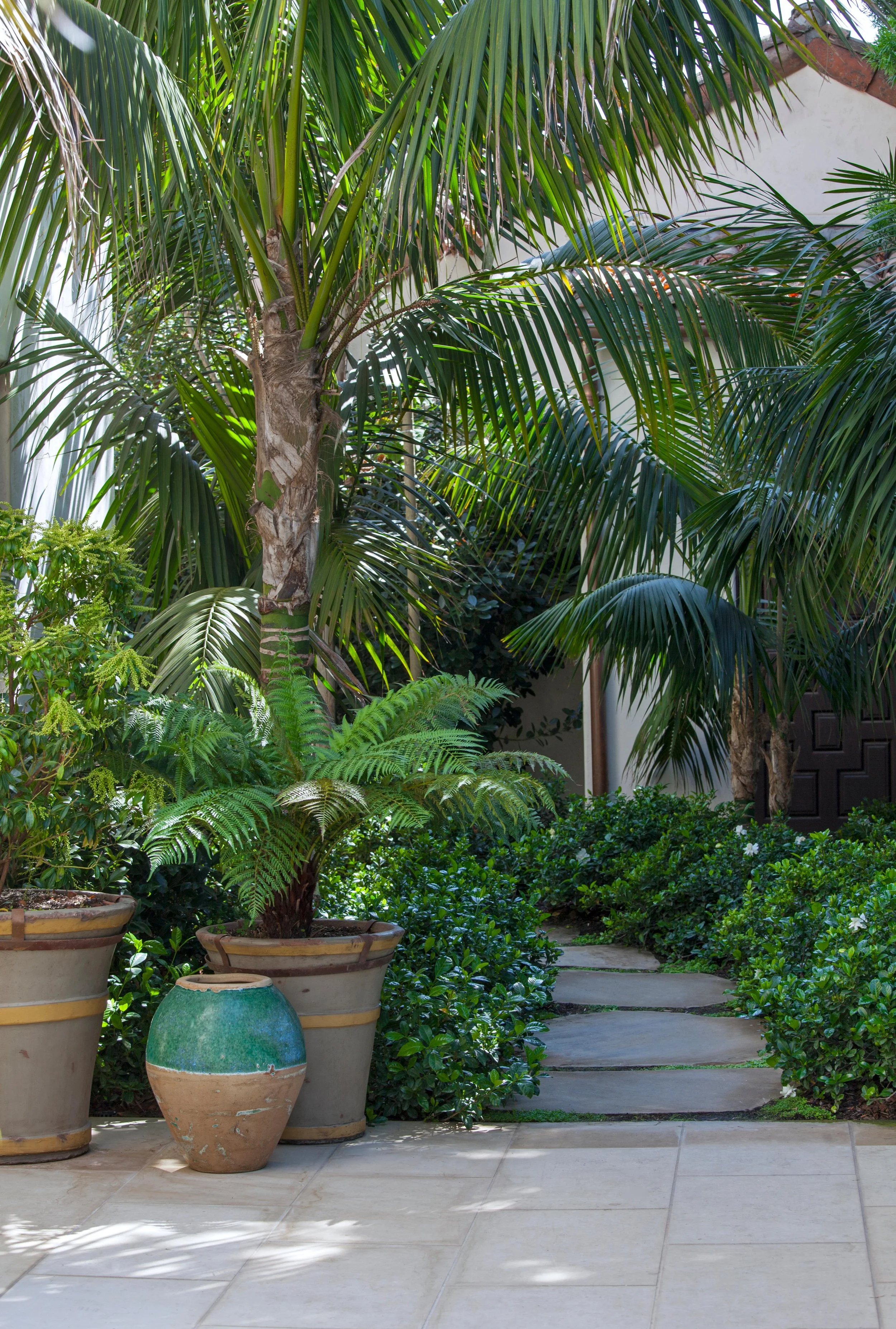 A lush indoor tropical garden with large potted palm trees, ferns, and other green plants, along a stone pathway leading to a doorway.