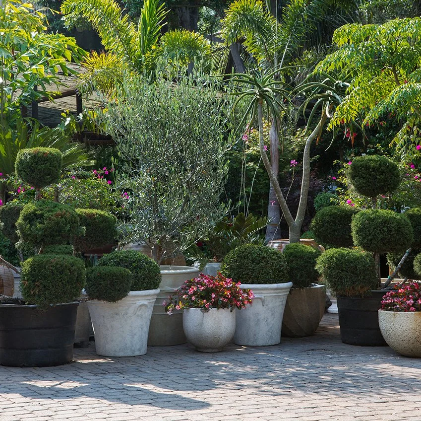 planters (2).jpg
