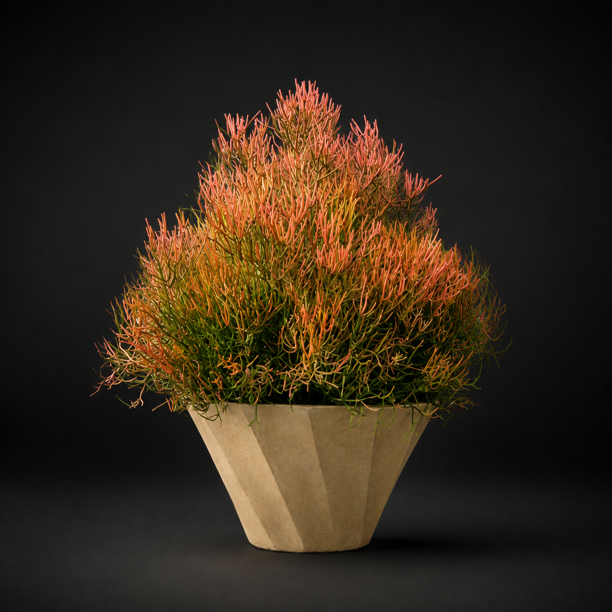 mlt019-inner-gardens-gfrc-spiral-planter-tuscan-french-limestone-planted.jpg
