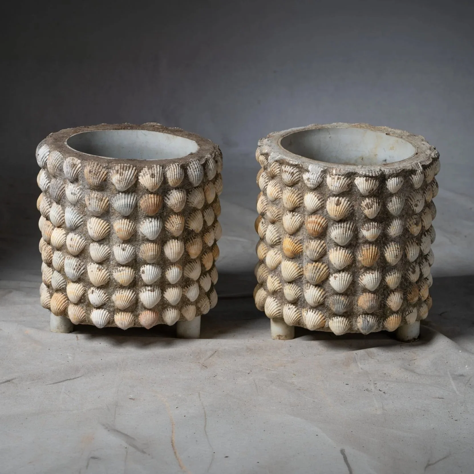 RARE SHELL PLANTERS
