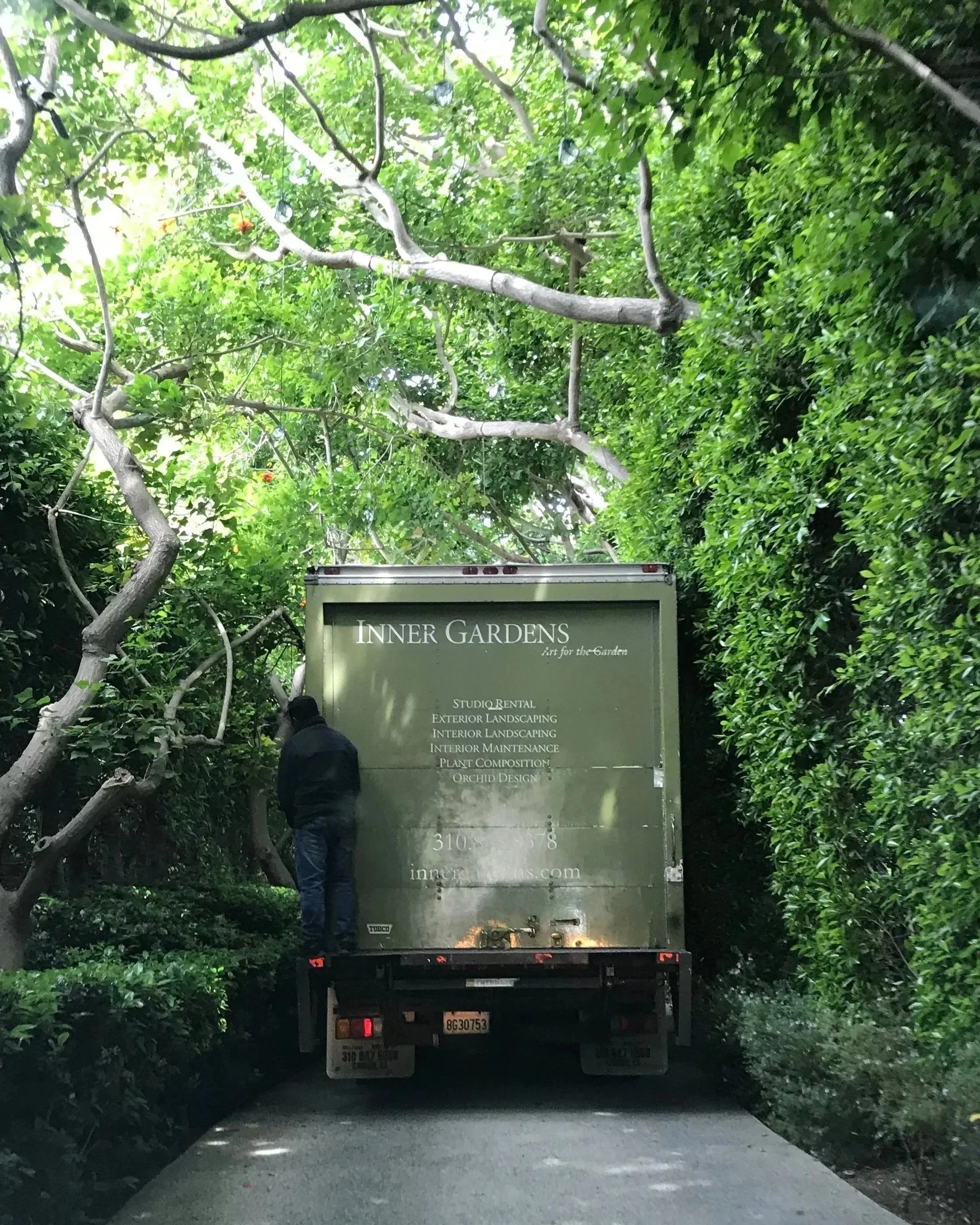 A person on a ladder opening the back of a truck labeled 'Inner Gardens Art for the Garden' on a narrow street lined with dense green bushes and trees.