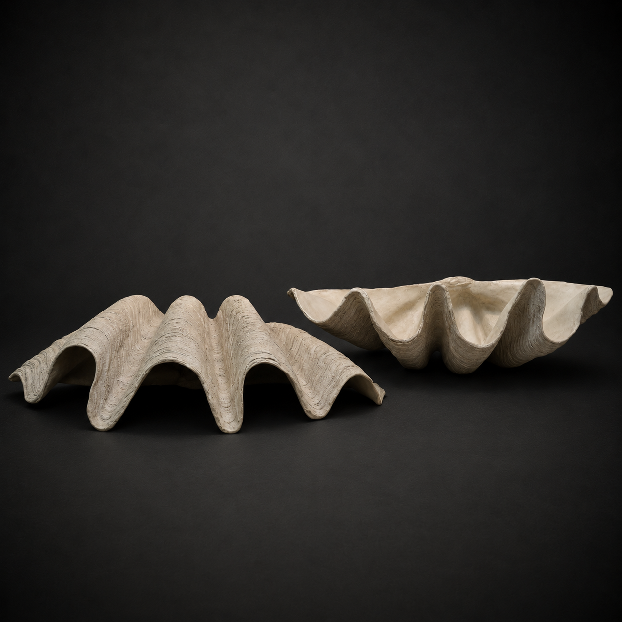 WALL-TABLE CLAM SHELL
