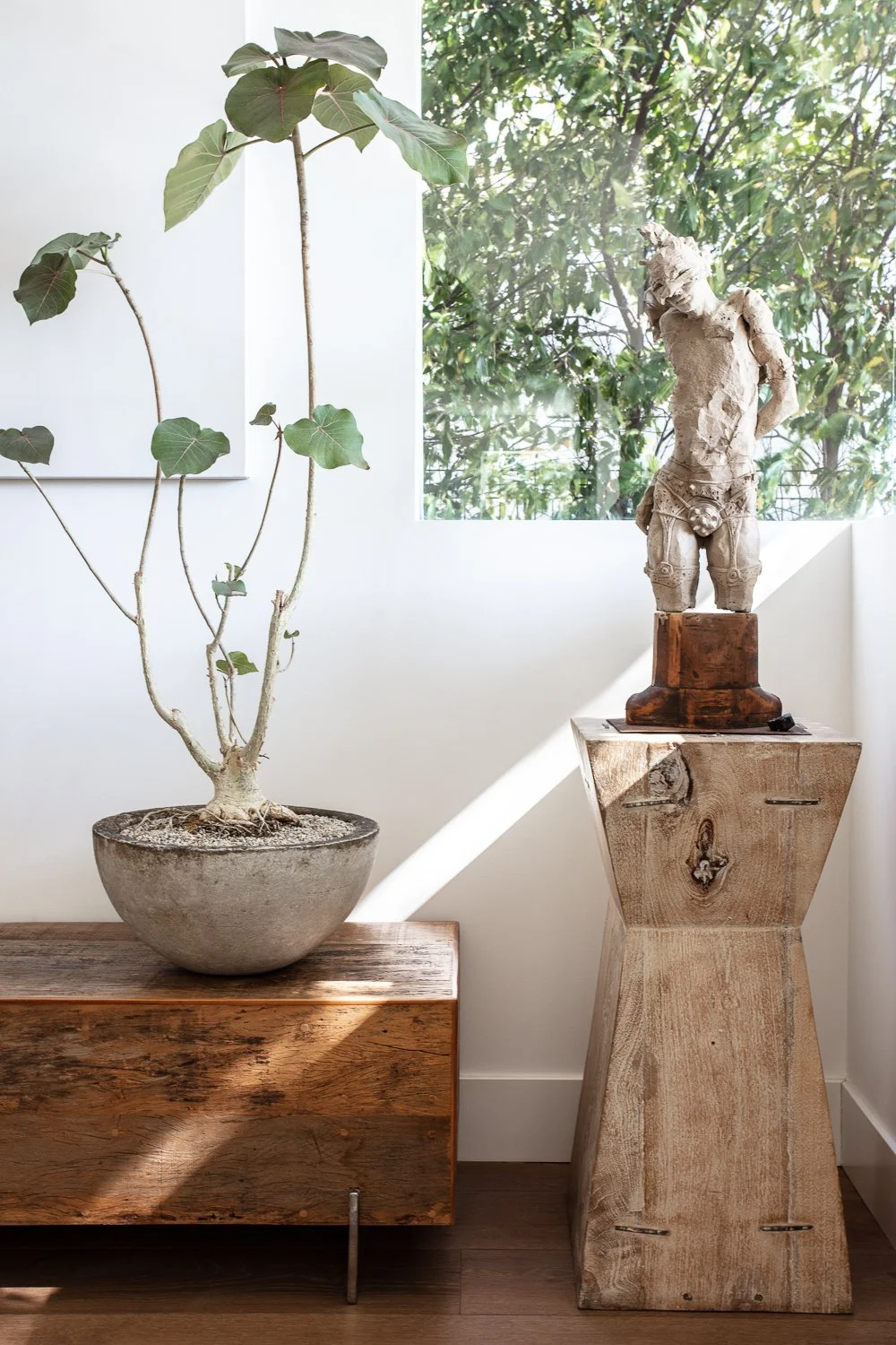 A potted plant with large green leaves on a wooden table, next to a sculpture of a humanoid figure on a wooden pedestal, with a window showing greenery outside in the background.
