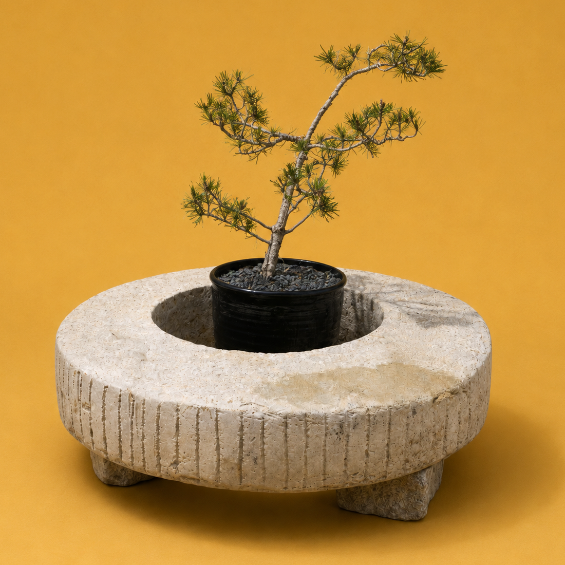 BRASERO TABLE