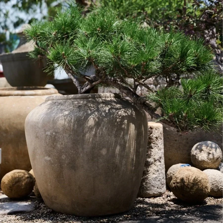 INDONESIAN CAST CEMENT PLANTER