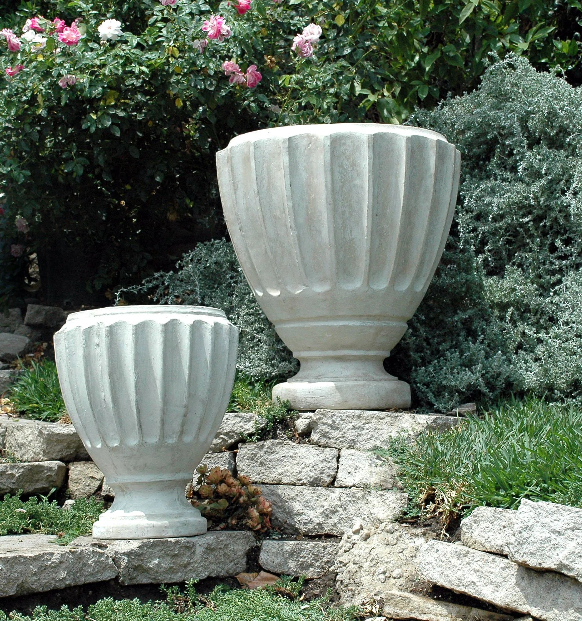 MLT041 (1).jpg