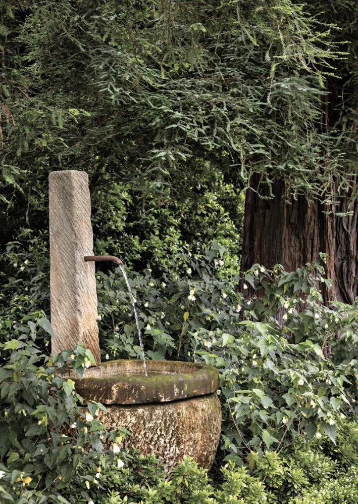 An old stone water fountain with a wooden spout, surrounded by lush green bushes and trees.