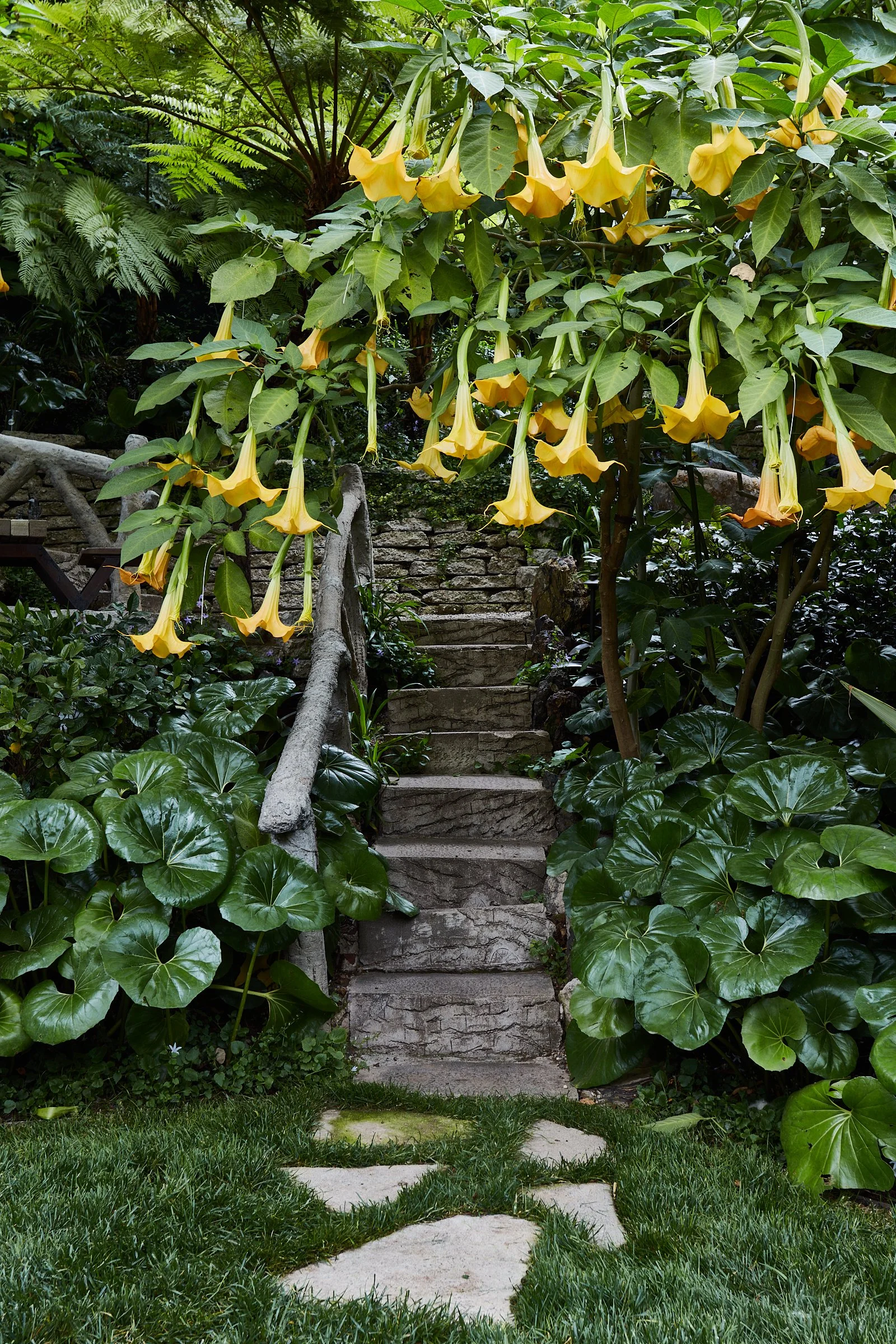 A stone staircase ascending through lush green foliage and large yellow trumpet-shaped flowers in a garden.