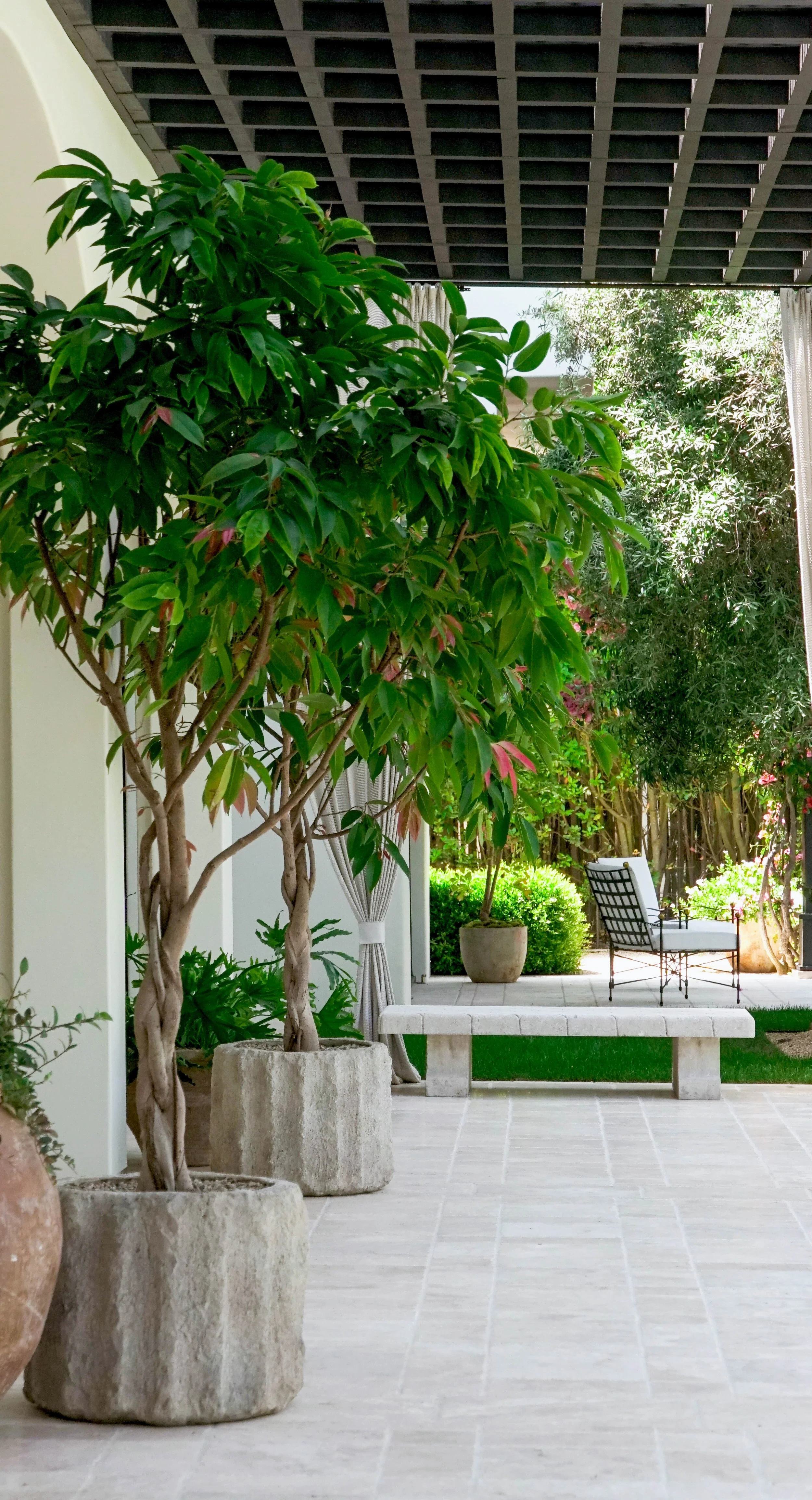 Outdoor patio with potted trees, patio furniture, concrete bench, and lush greenery.