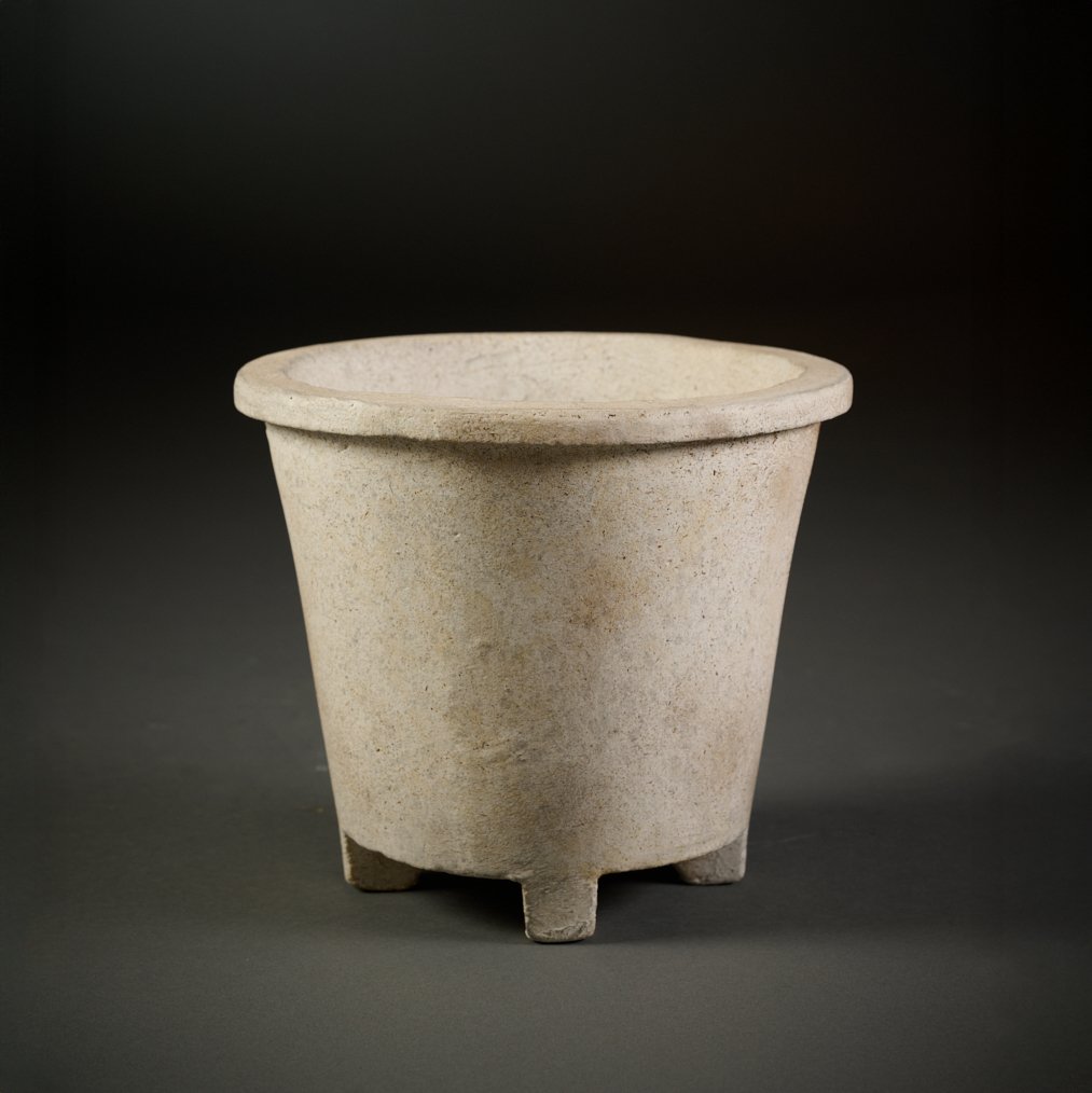 ORCHID POT