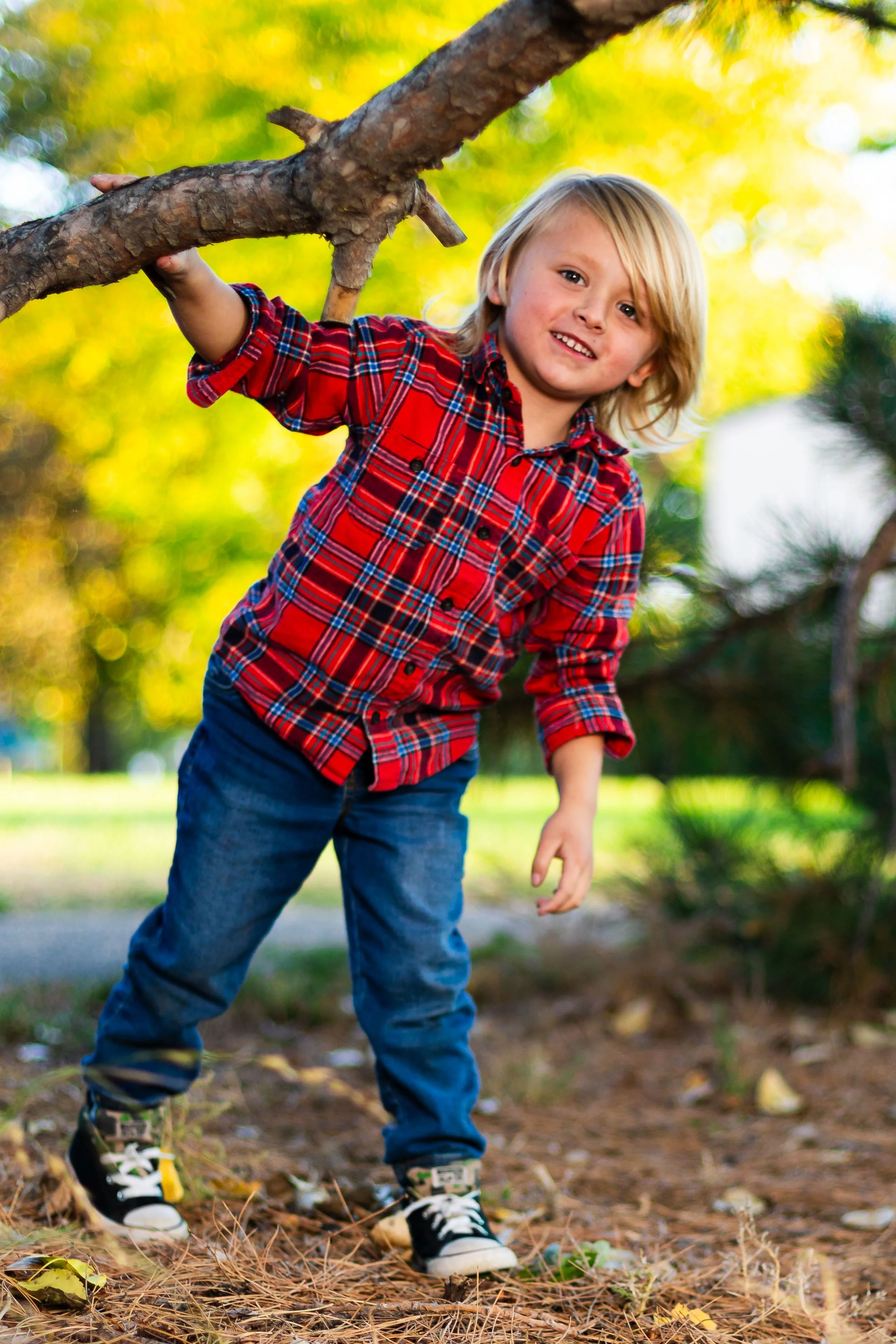 Young boy in a red plaid shirt climbs a tree branch in a Denver park.