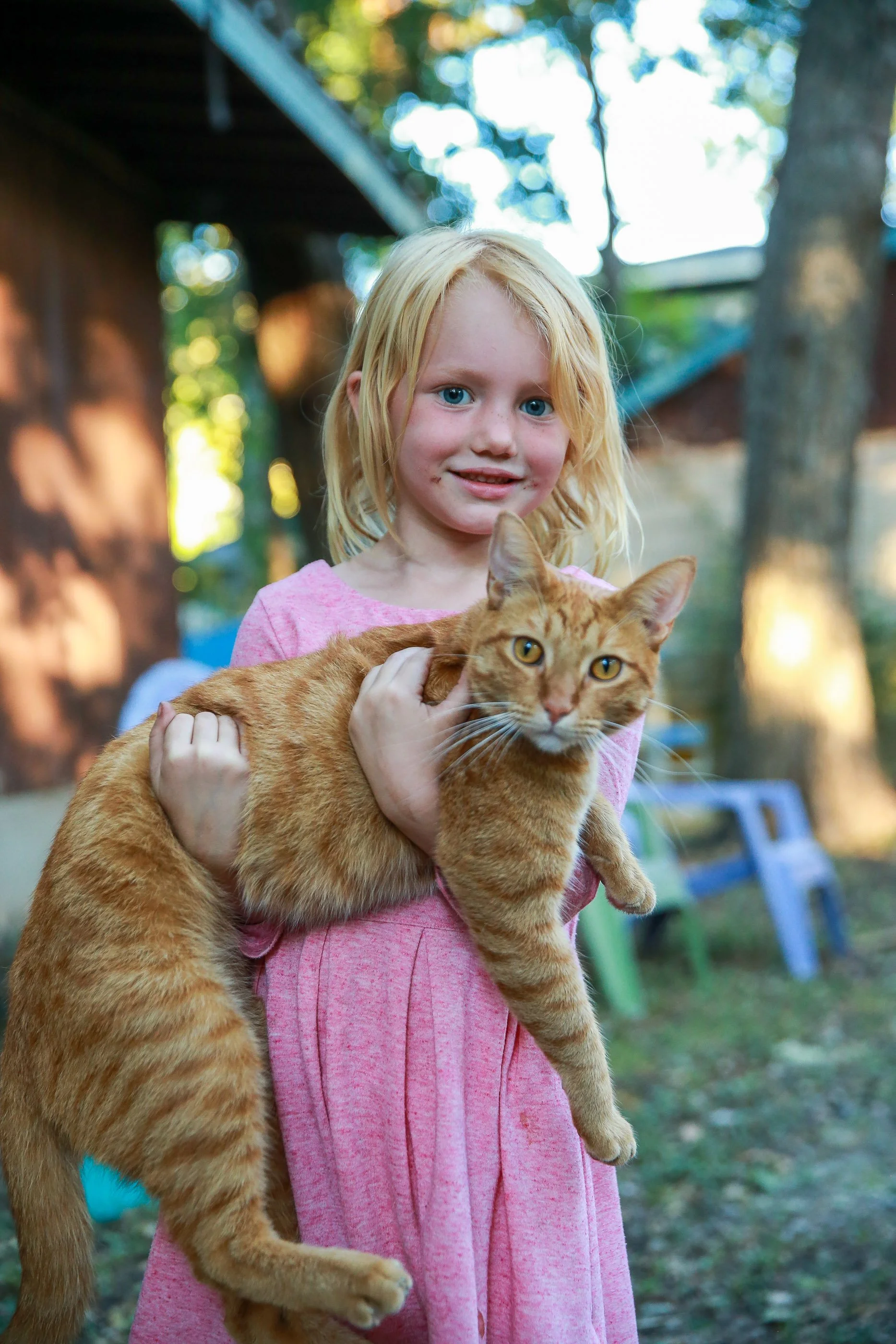 A young girl with blonde hair, wearing a pink dress, is holding a large orange tabby cat outside in a backyard with trees and a blue bench.