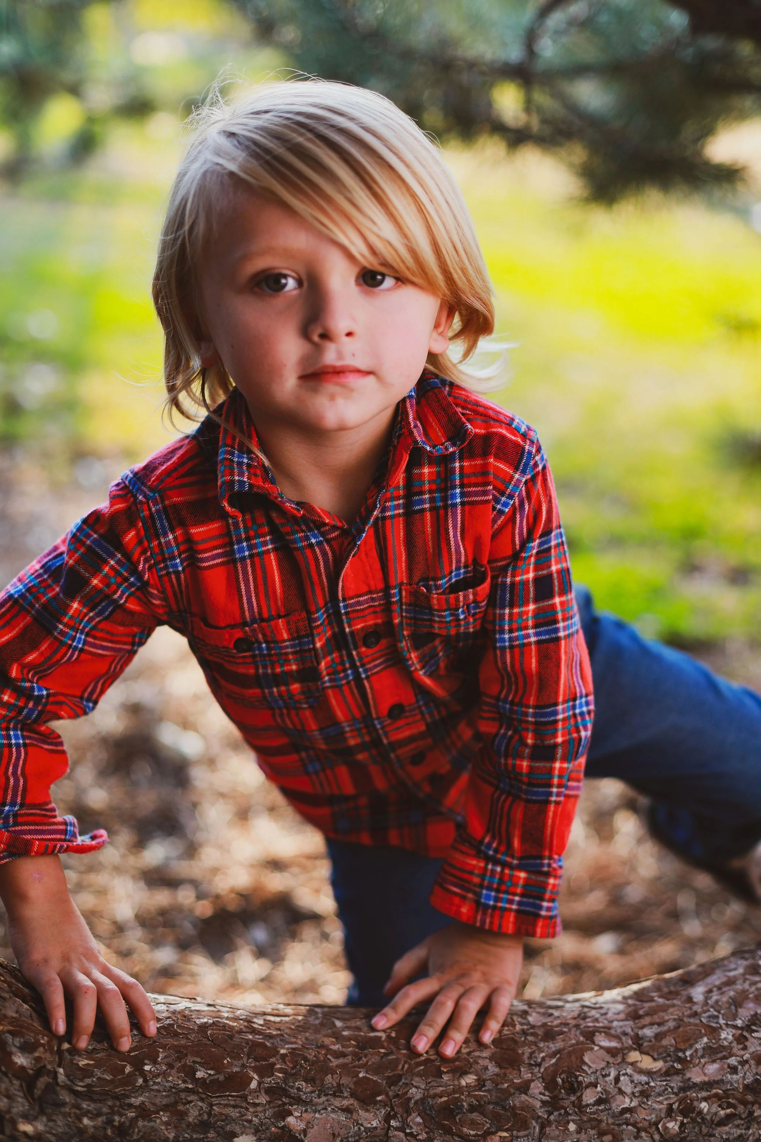 Candid outdoor portrait of a young boy in a Denver park.