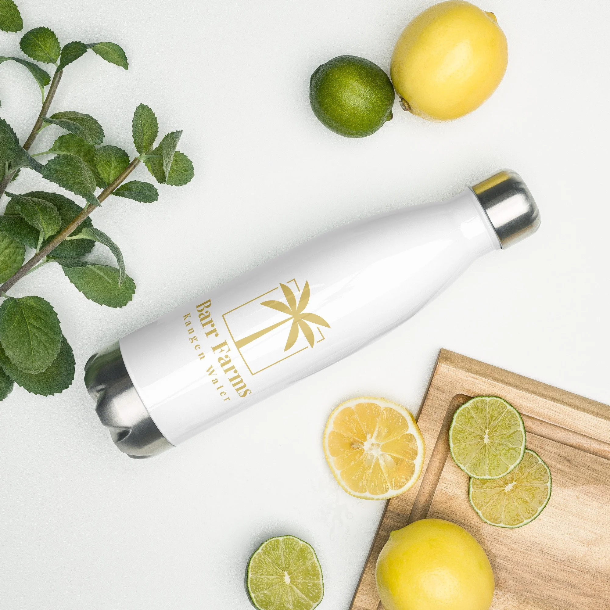 stainless-steel-water-bottle-white-17-oz-front-686d67b7dca2d.jpg